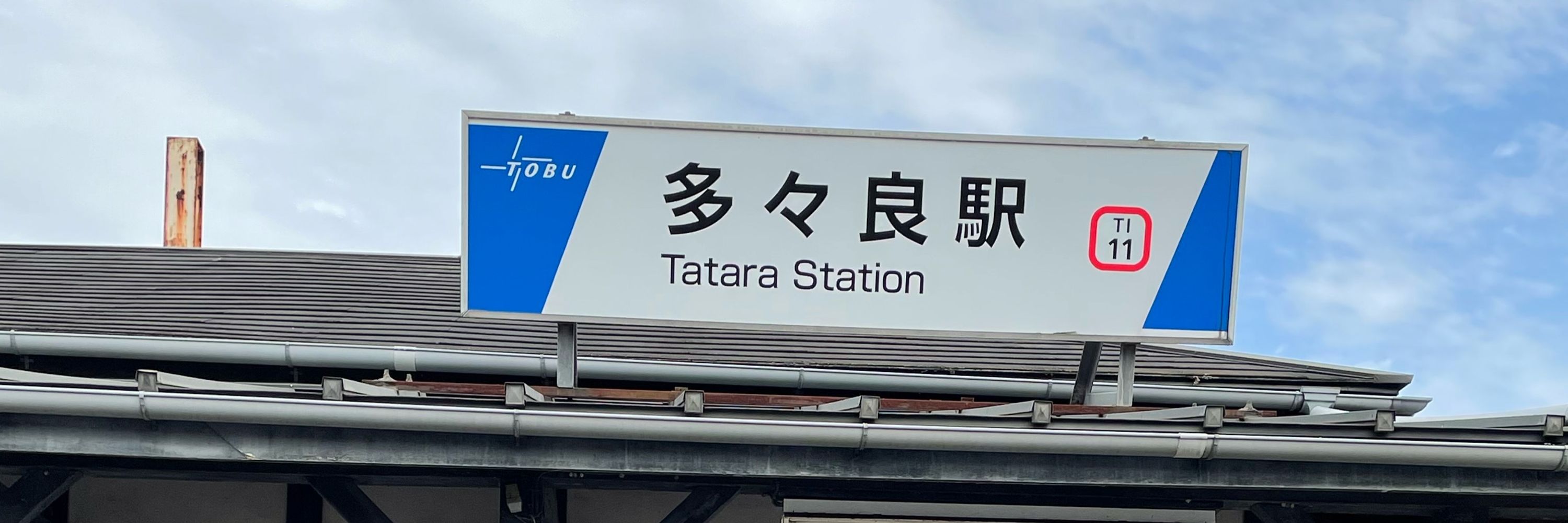 小猫