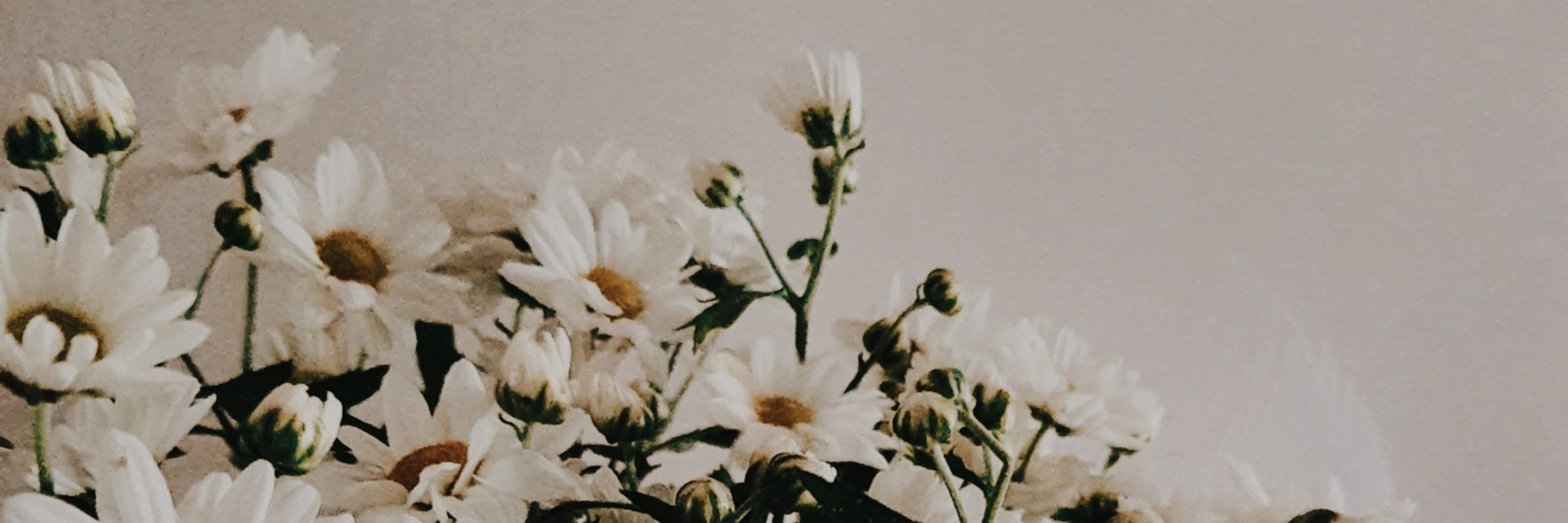 ca