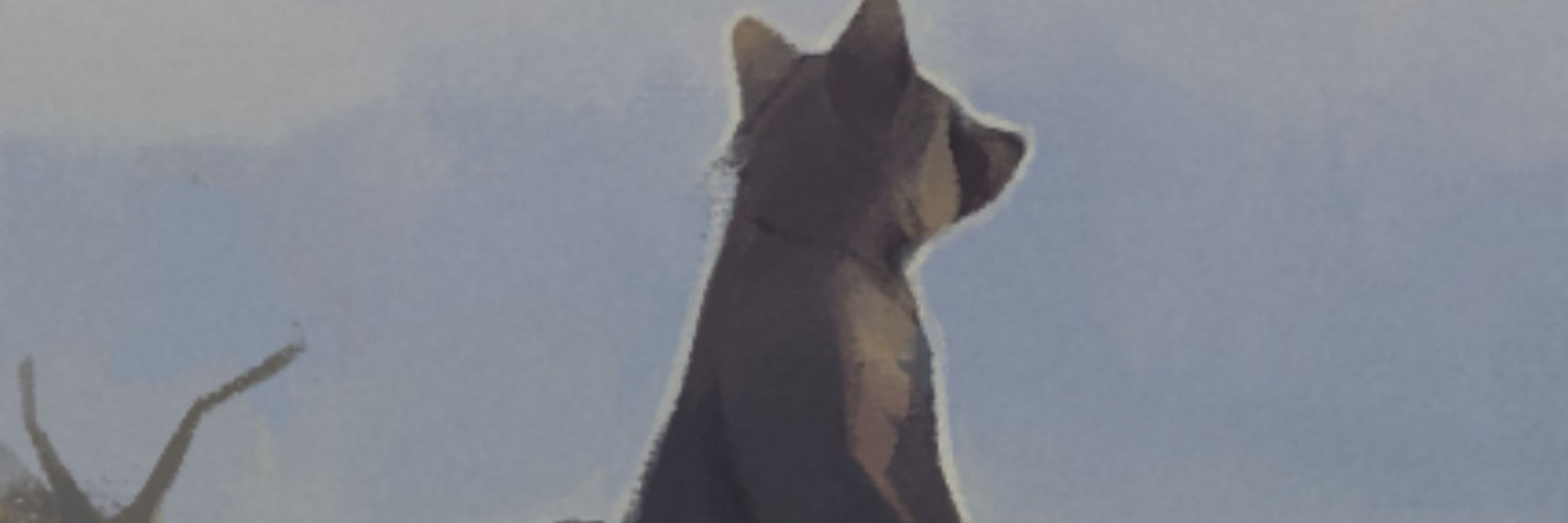 Tony Ringtail
