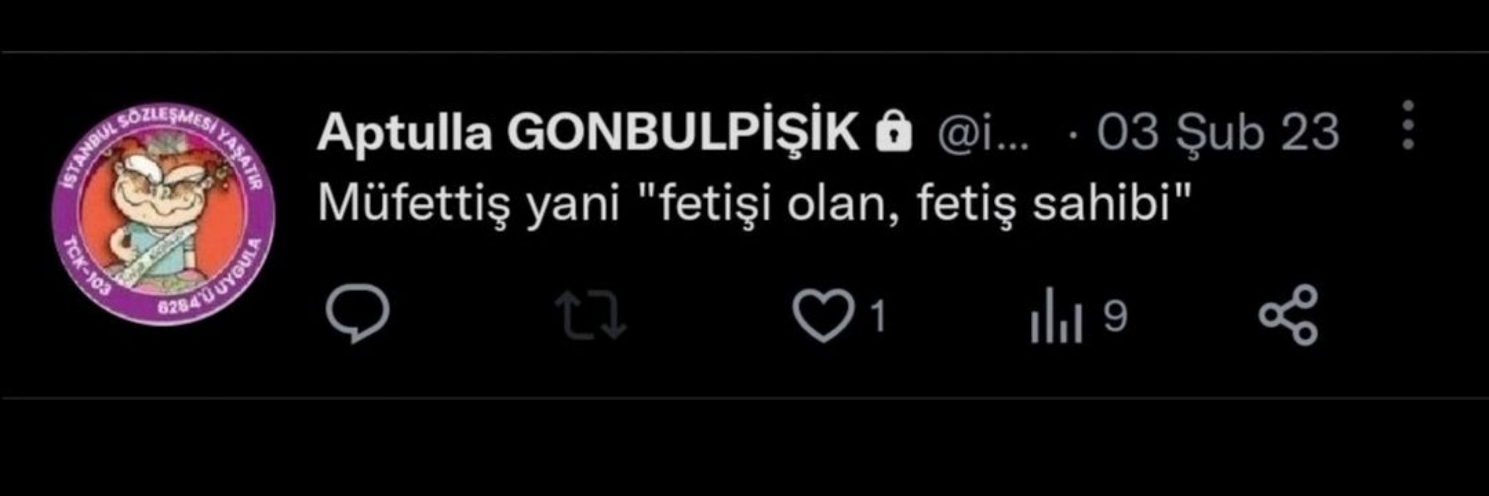 Müfettiş Gejit 