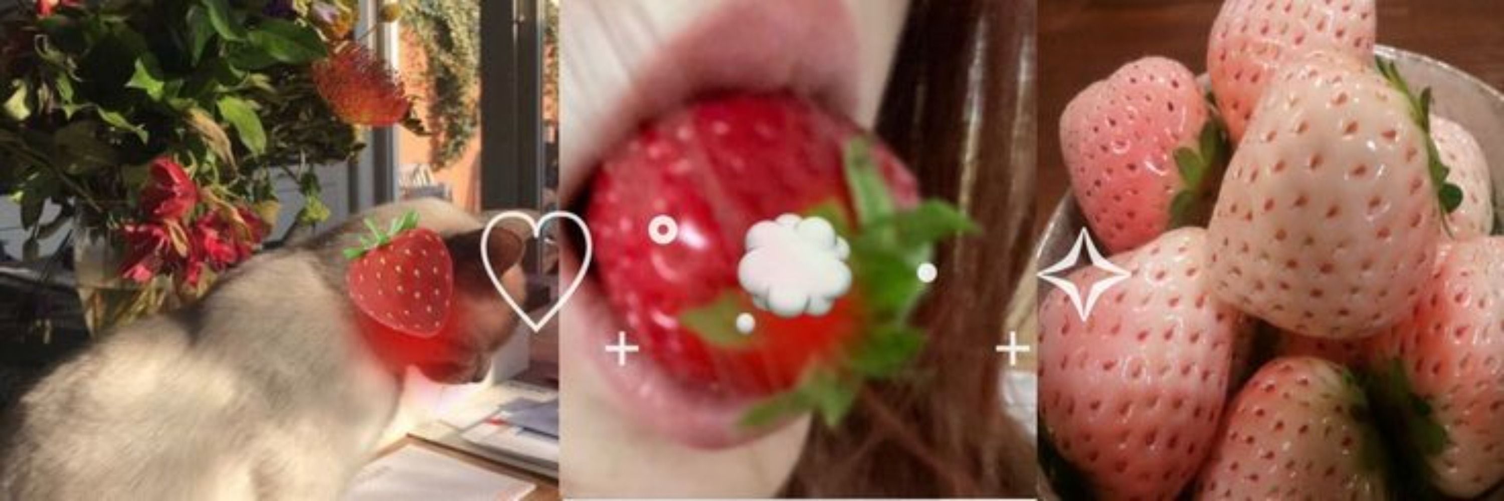🍓 Չ  ݁ ᑲᥱᥣᥣᥱһ! ݂ 𖦹̶ 🎀