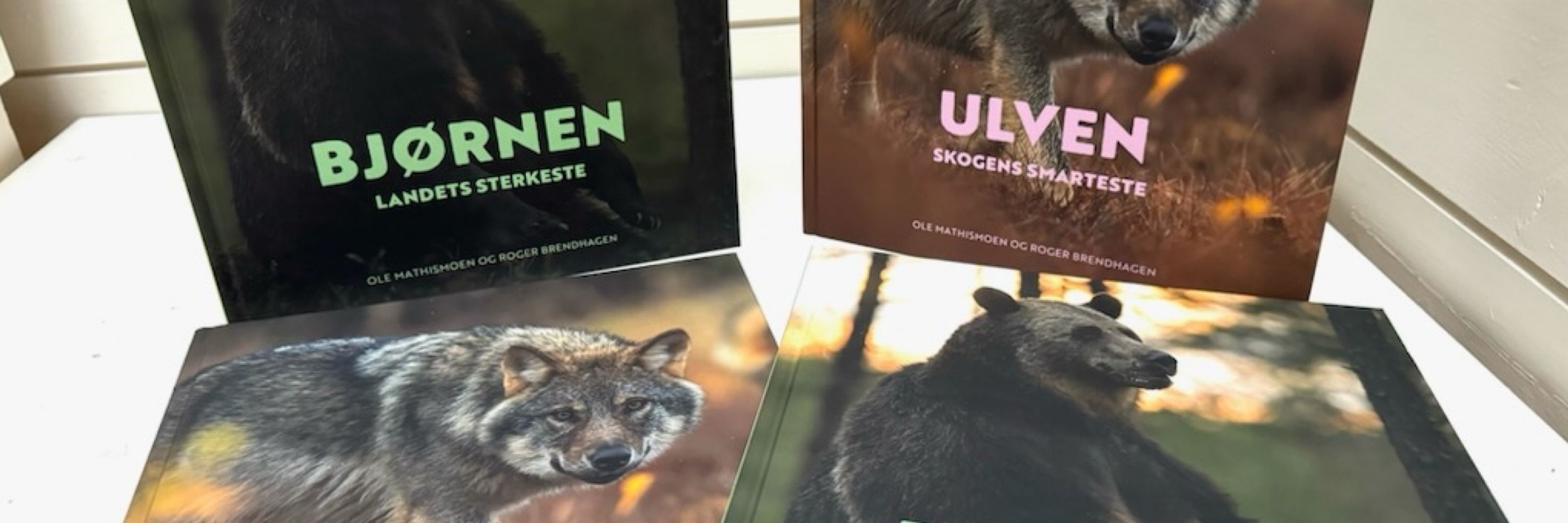 Ole Mathismoen