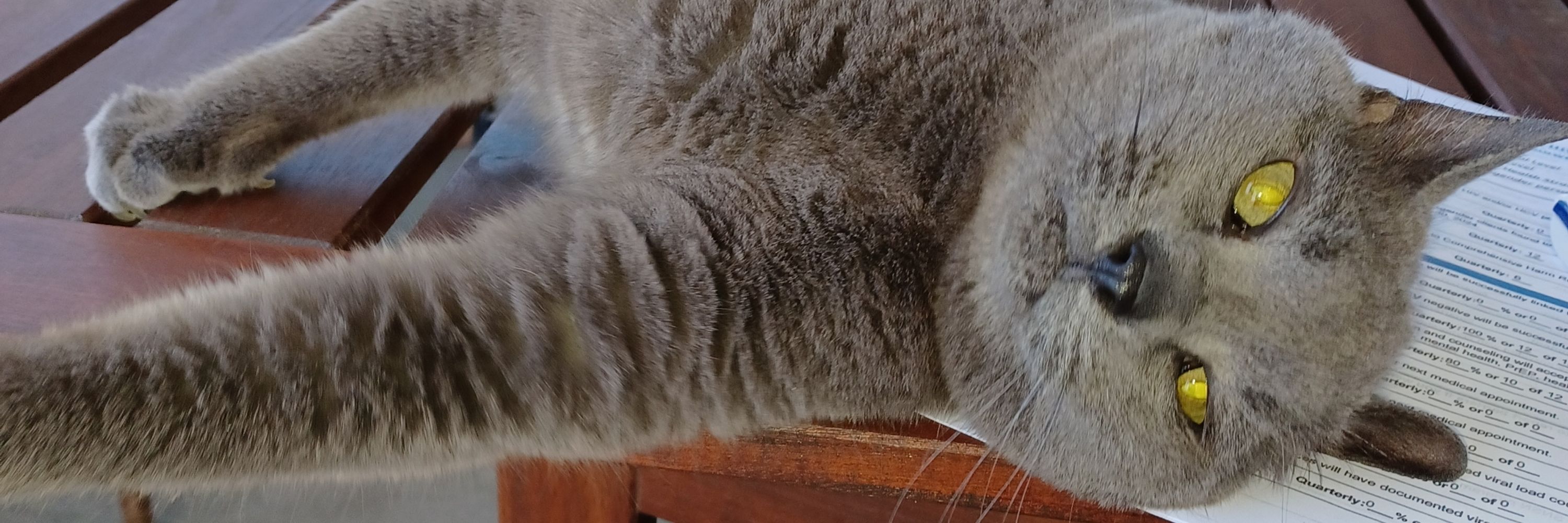 That guy Ted ☮️ 🏳️‍🌈 🏞 🥾 😼