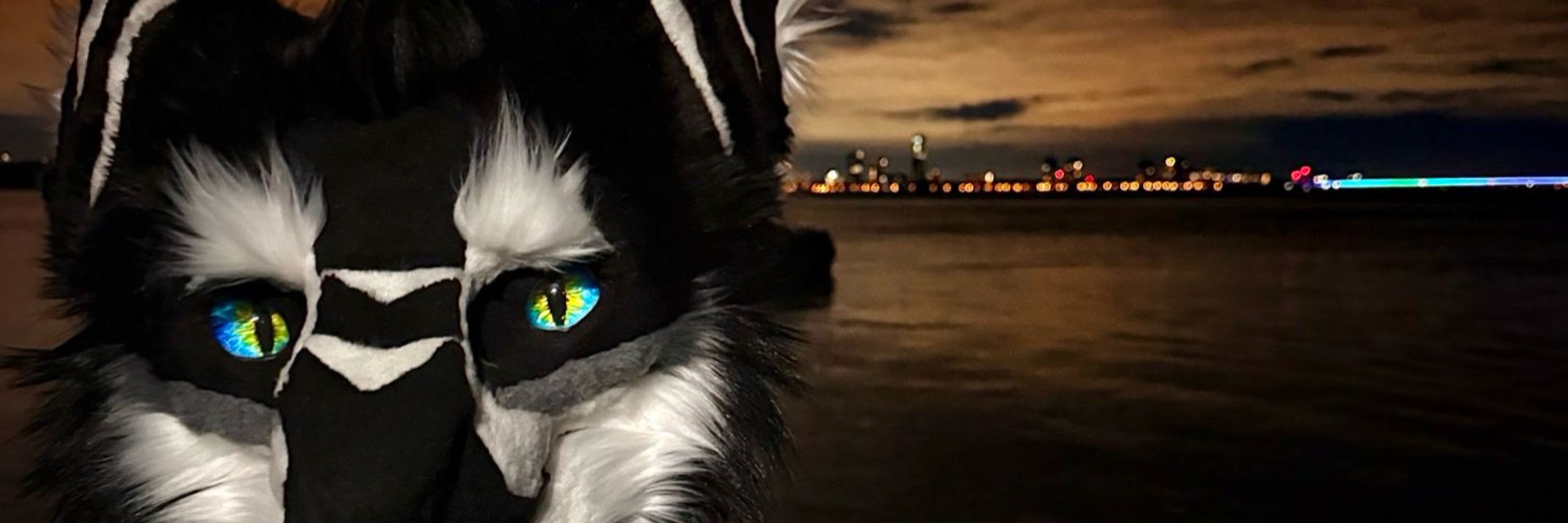 Sharpy The Sergal