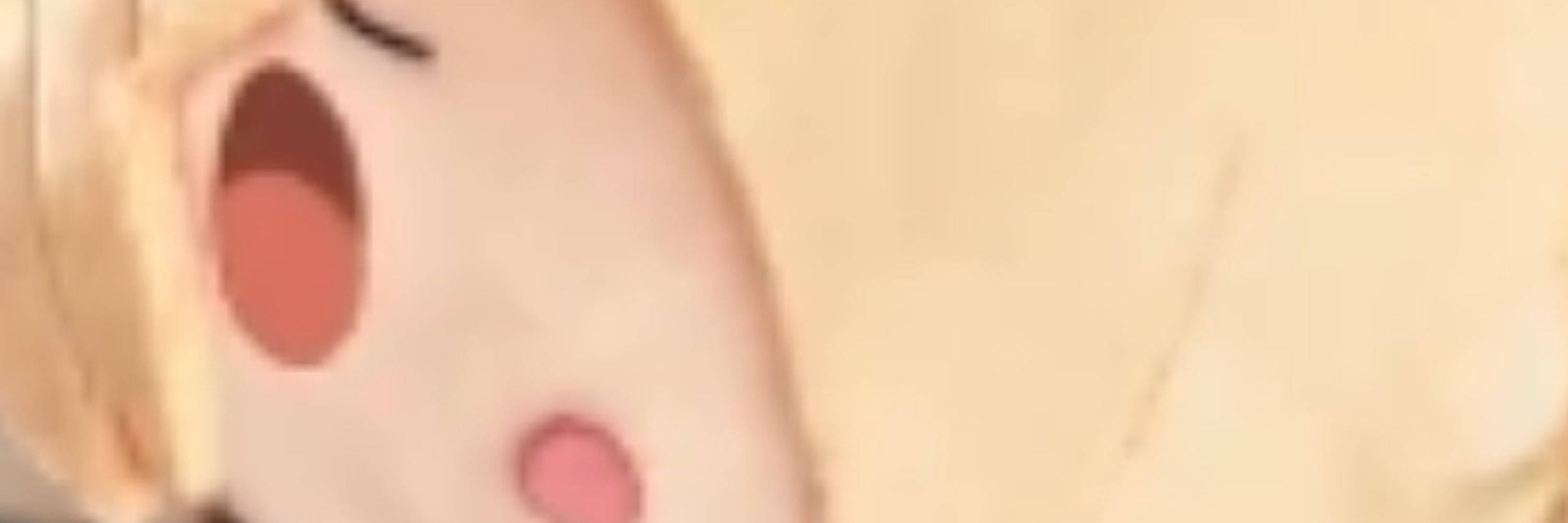 Birb