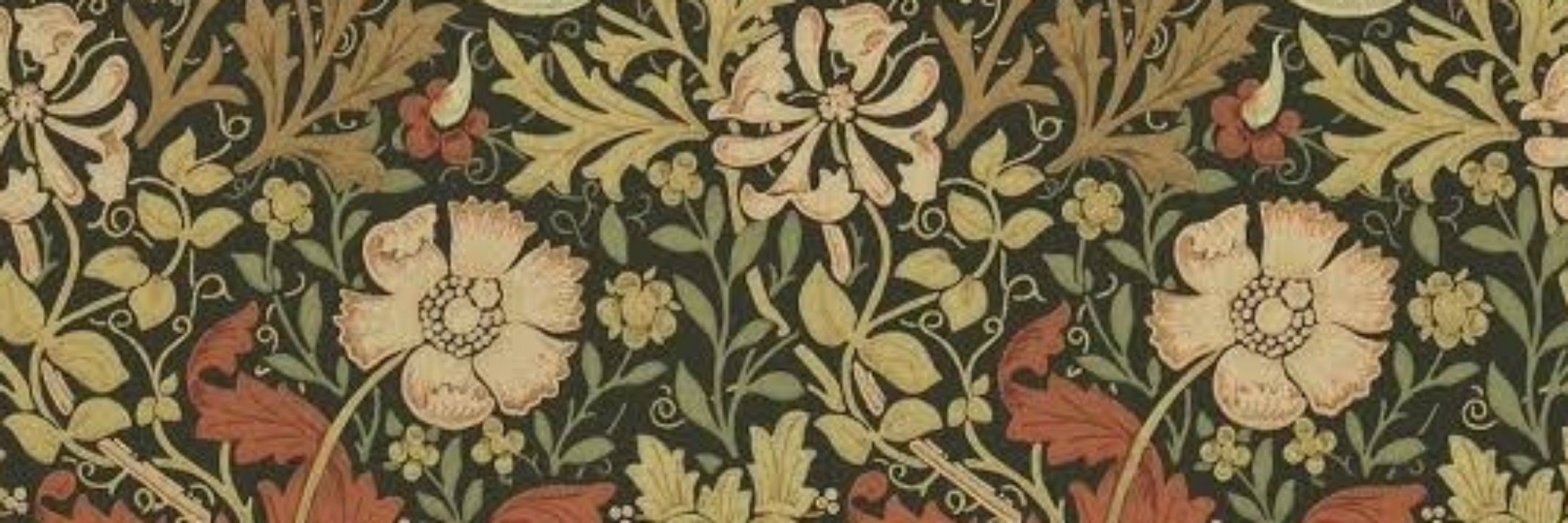 Flor de Maracujá 