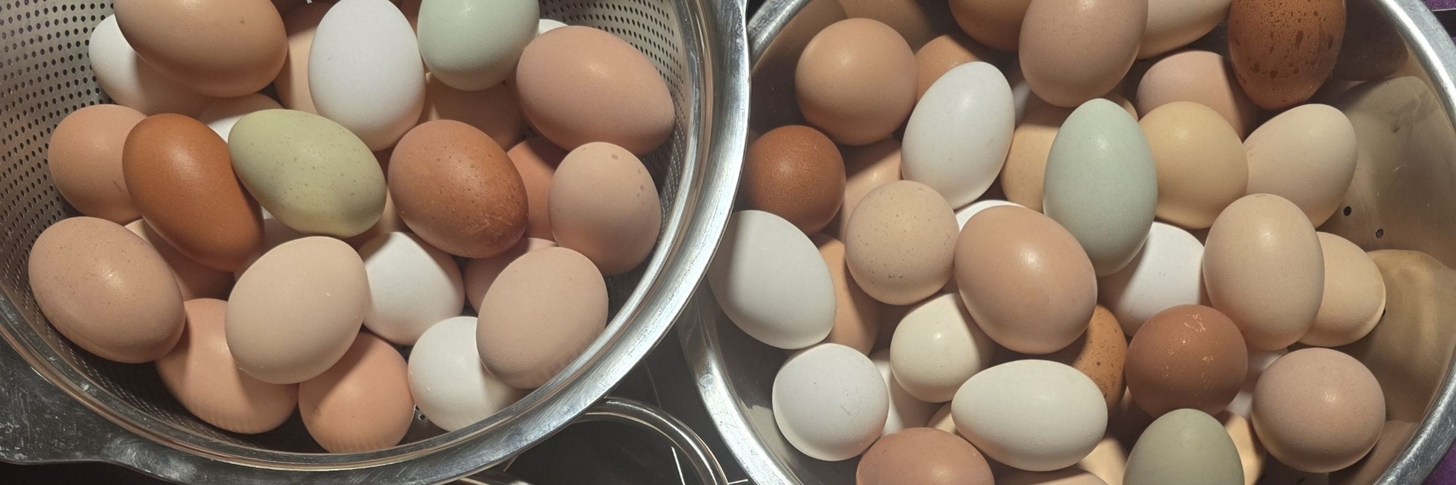 Mablo Eggscobar