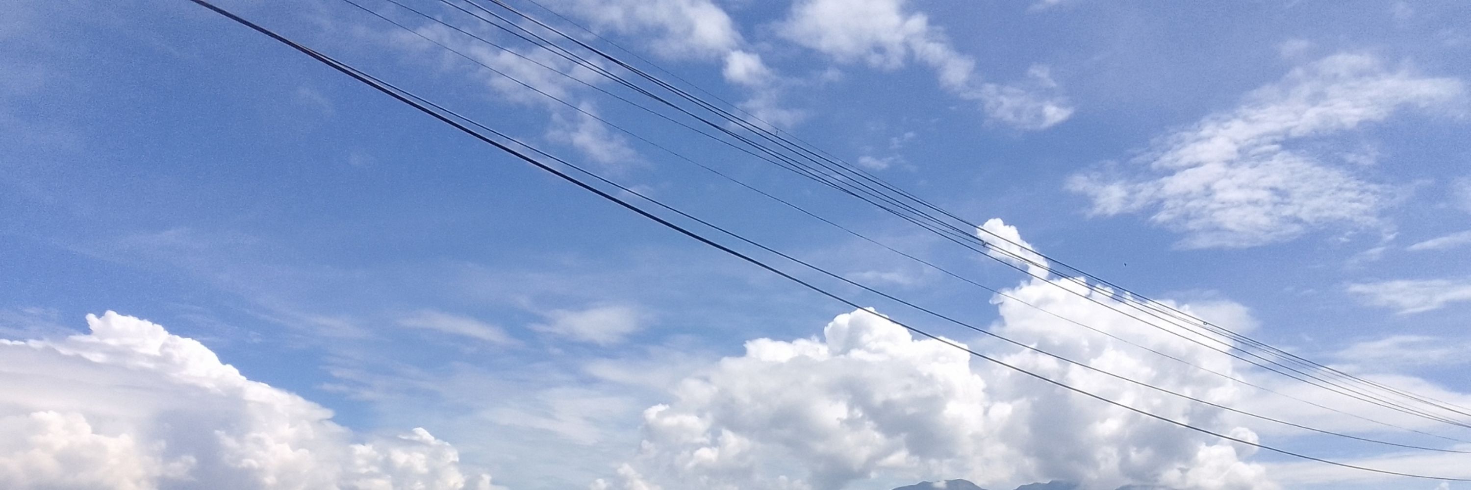 ふるえる甘根