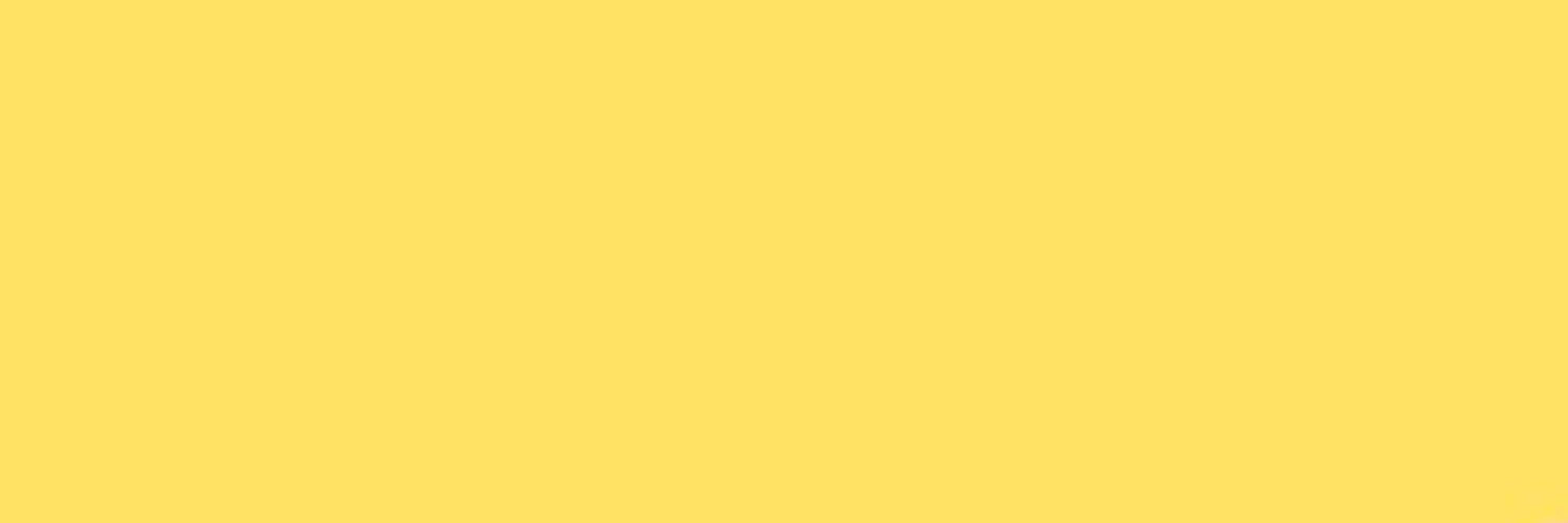 Yolk 🍳 
