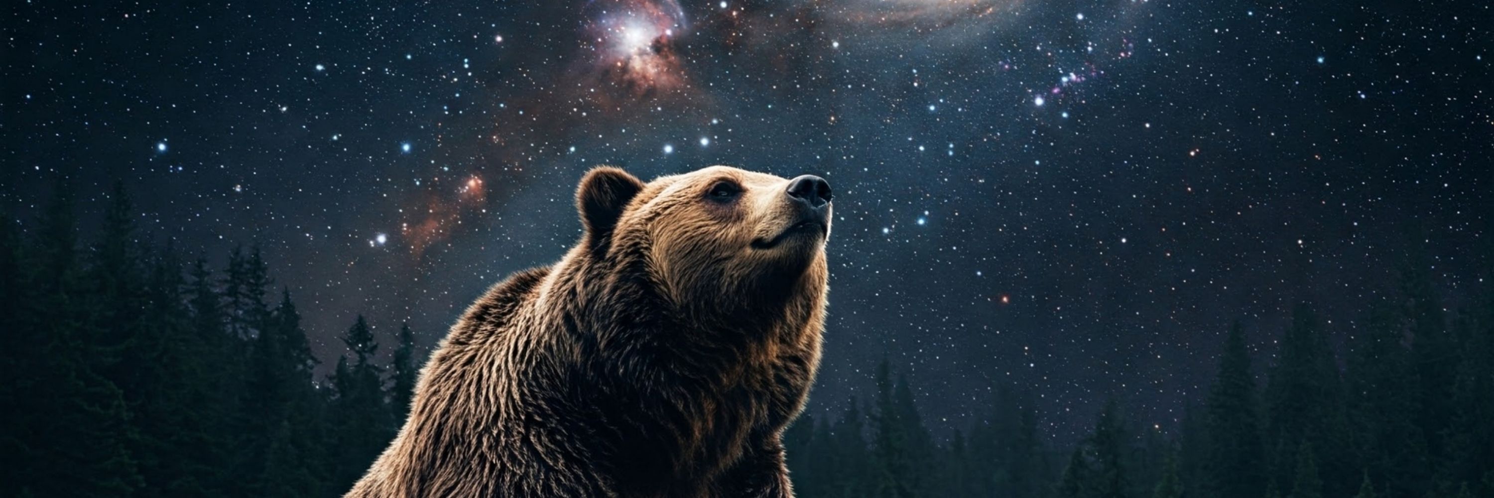 The_GrizzlyCave