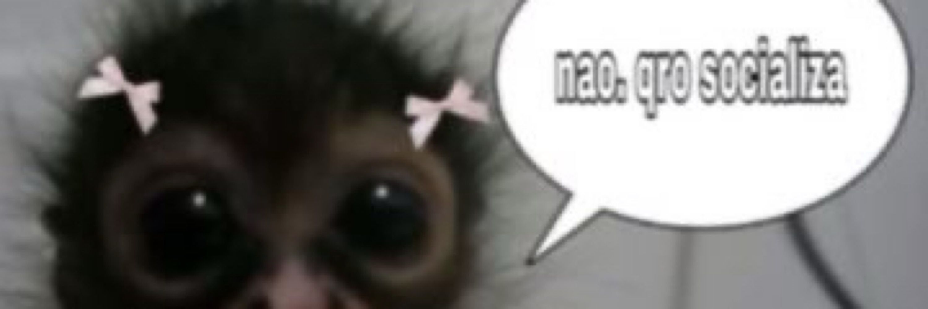 Duda Lara 