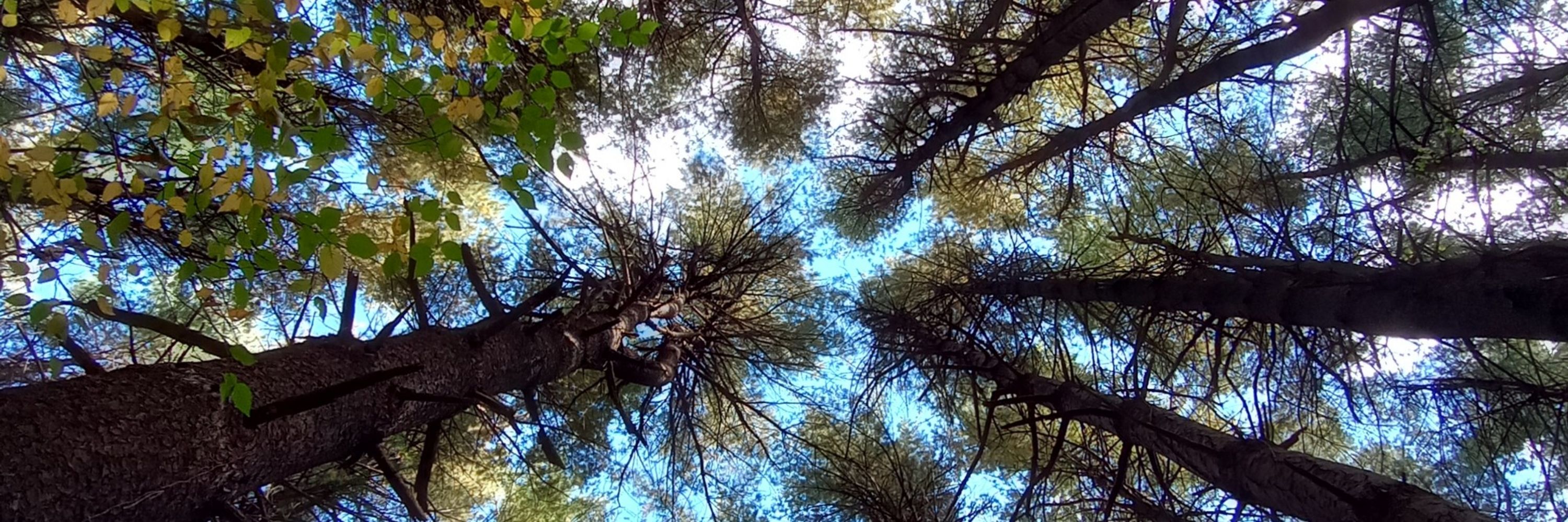 uǝʇsᴉɹʞ