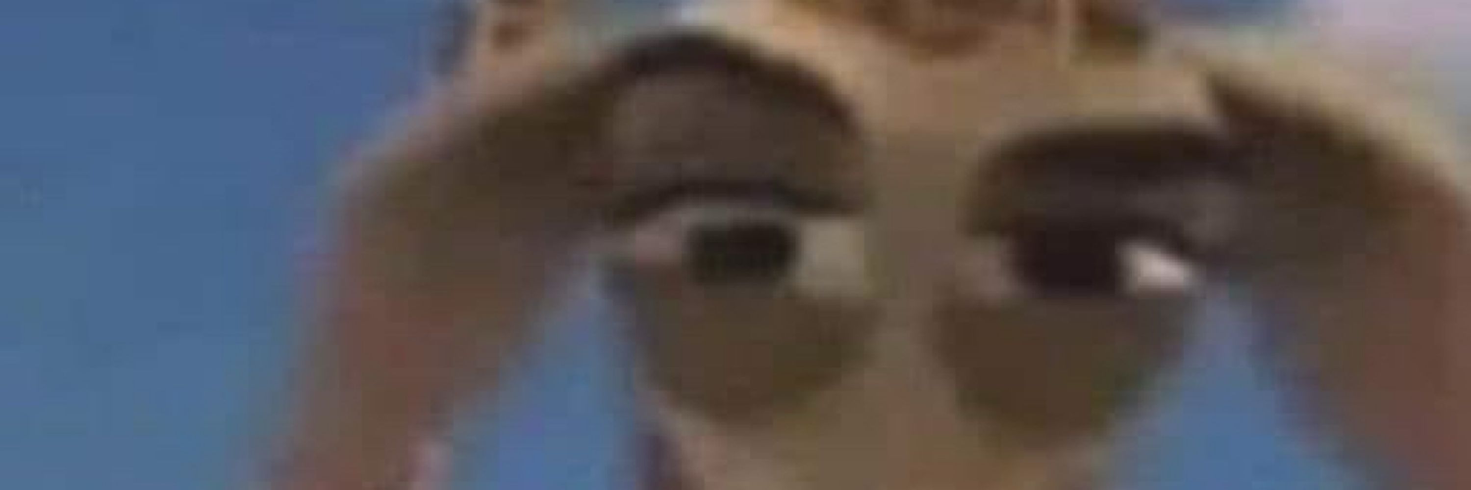 O Fleabago