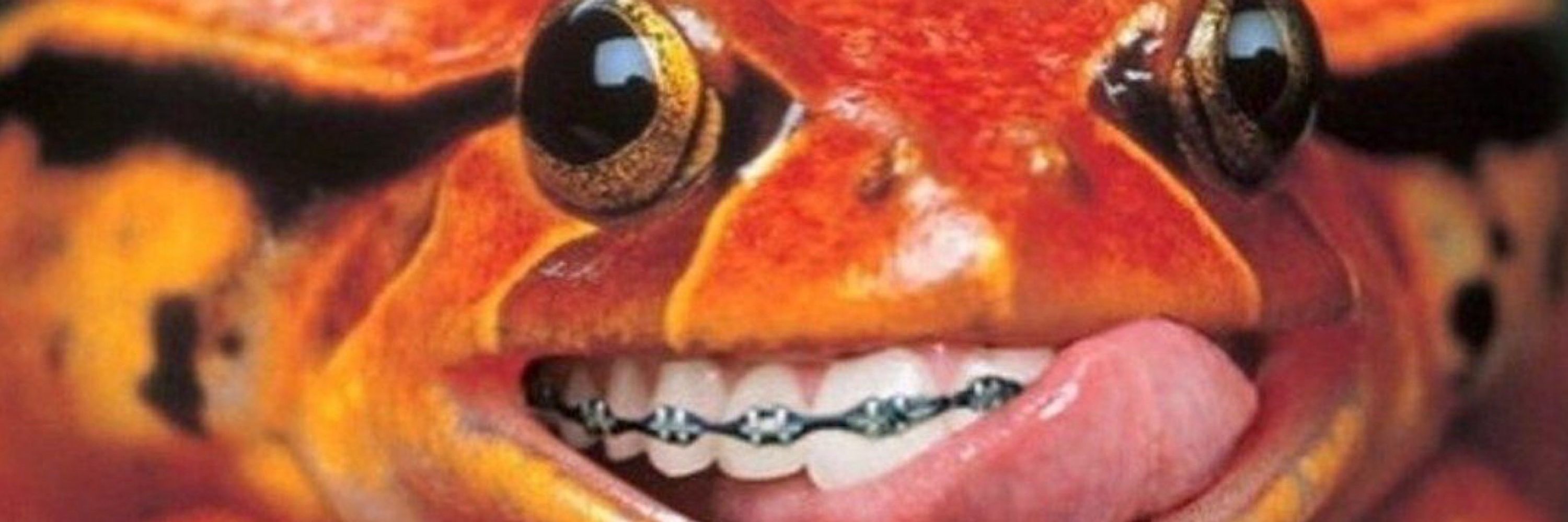 Abtstasia