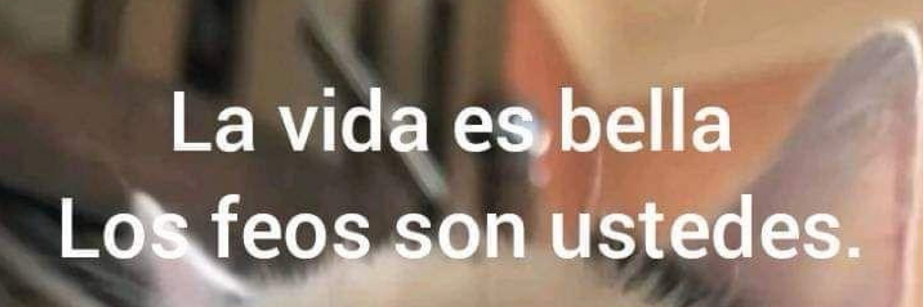 LIDIA