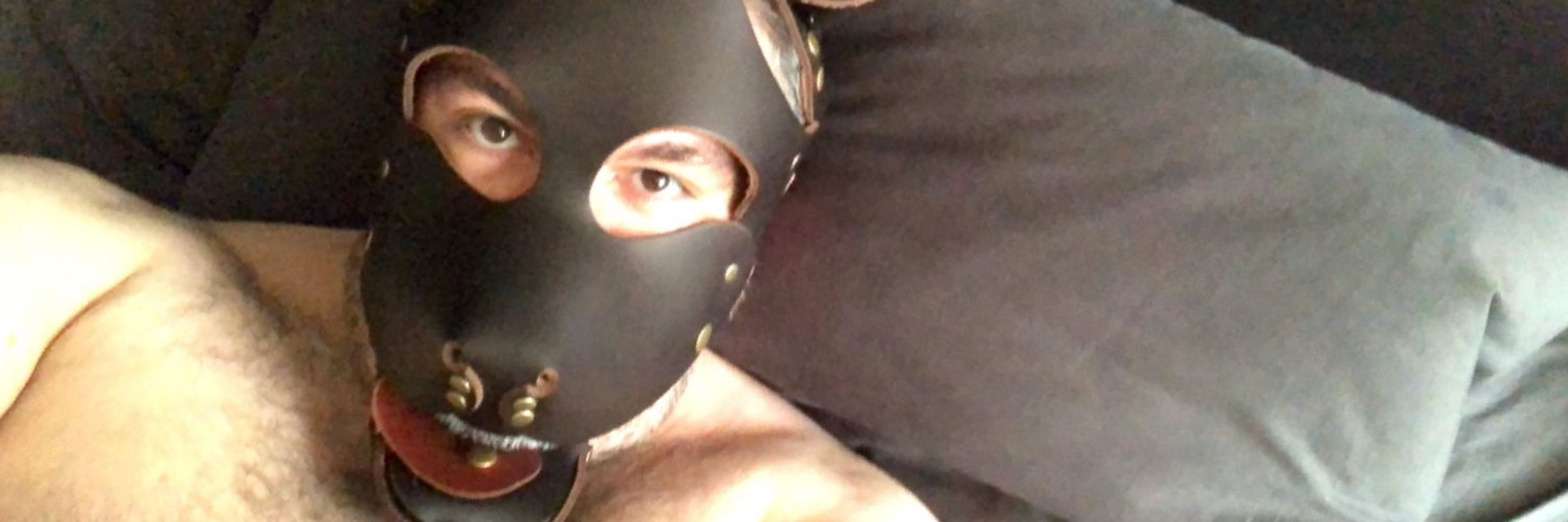 Pup Minutes