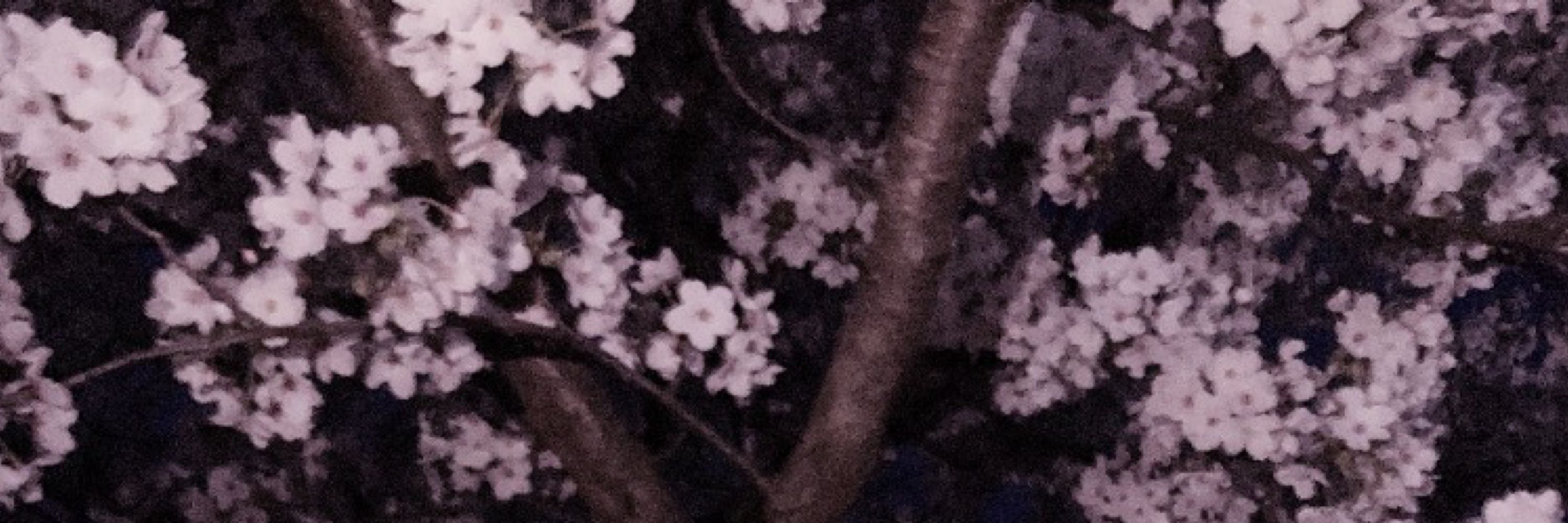 ➹