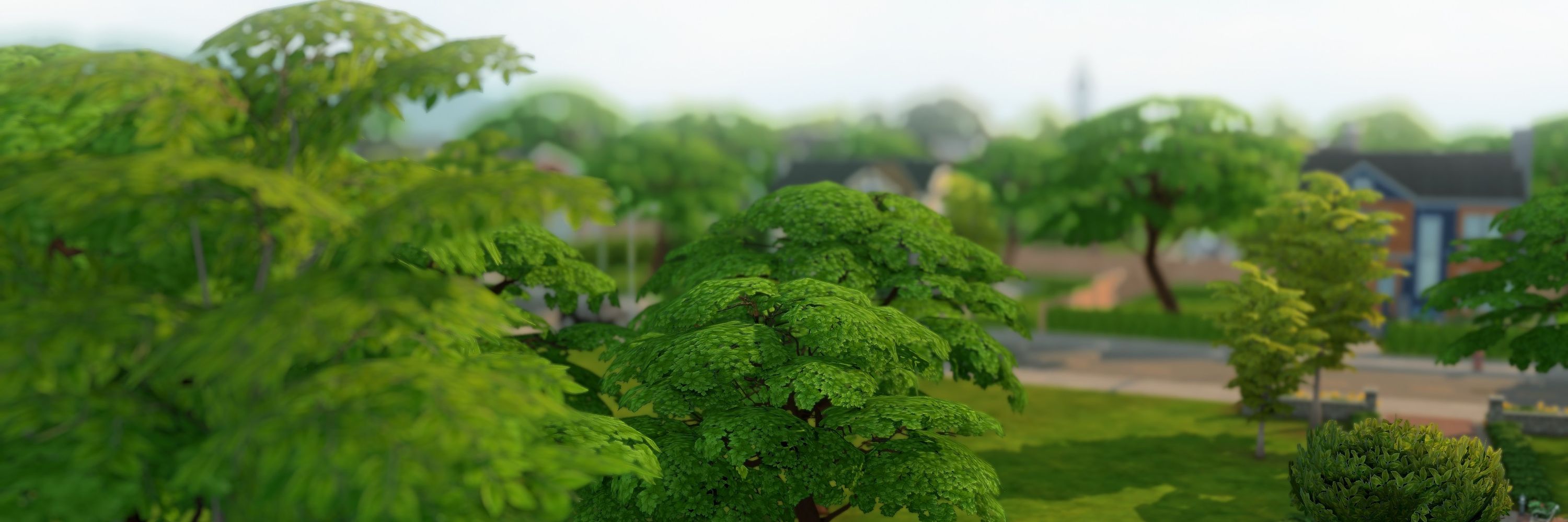 𝐏