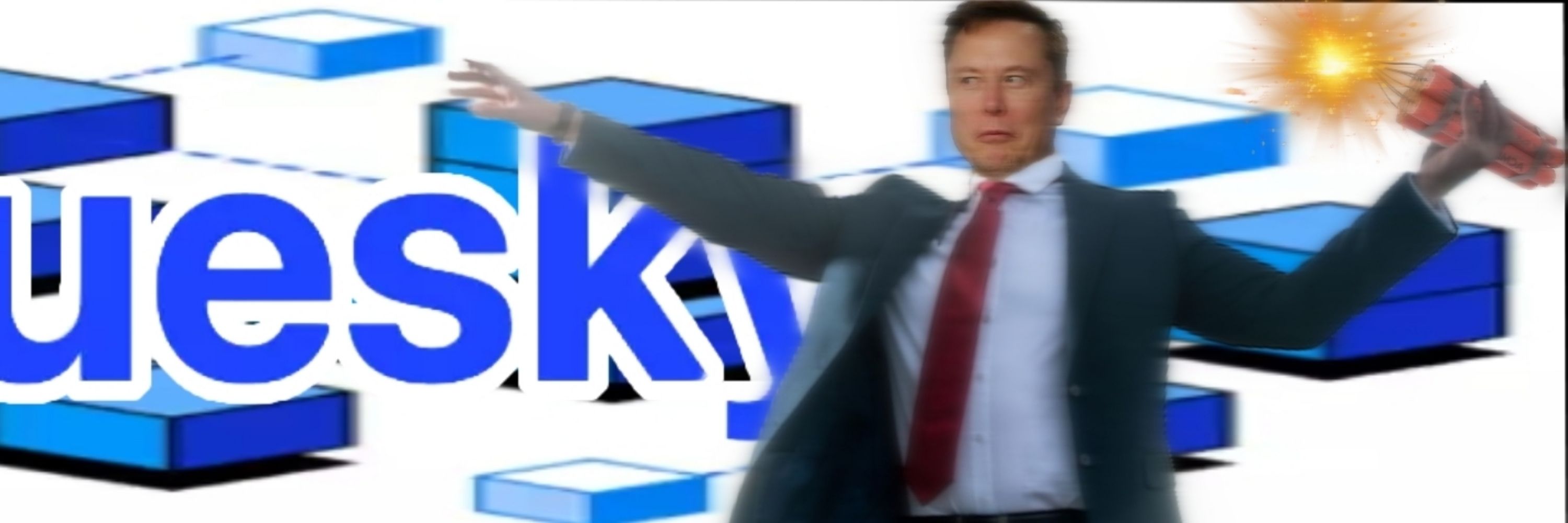 Elon Musk ✔️