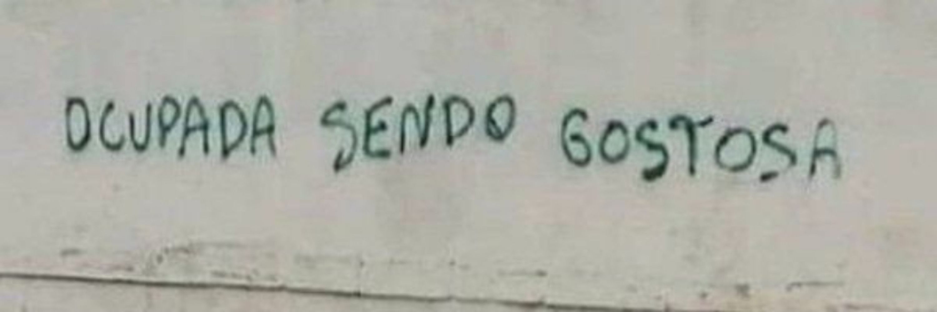 Ana Luiza 