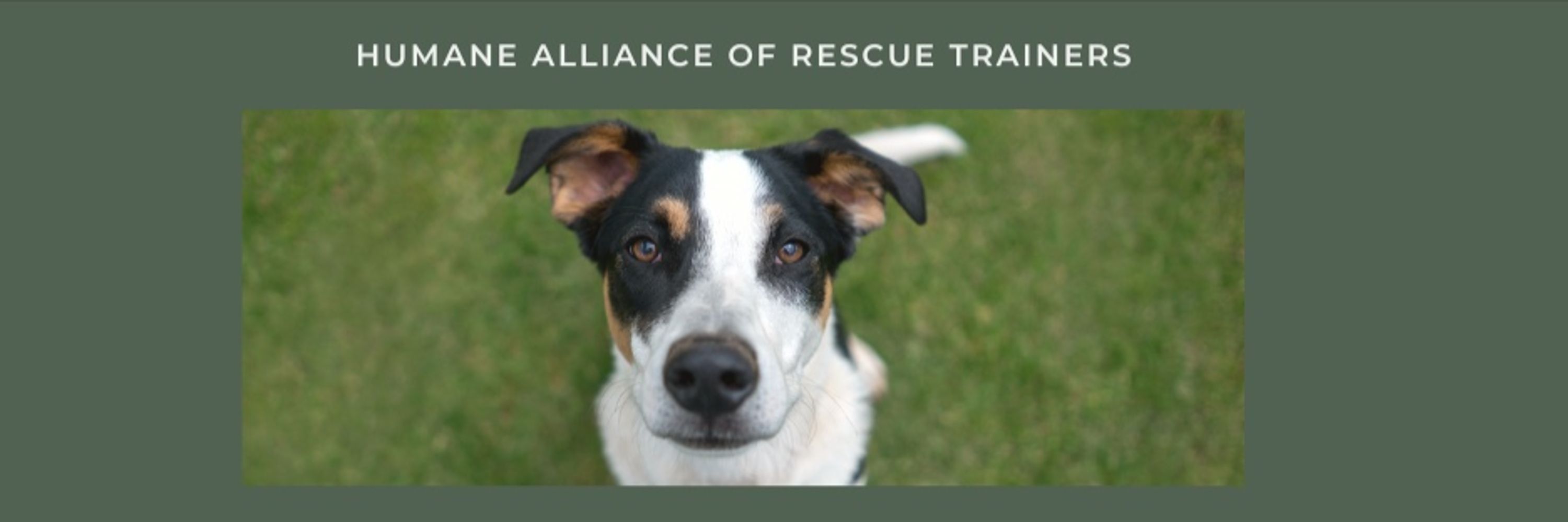 Humane Alliance of Rescue Trainers