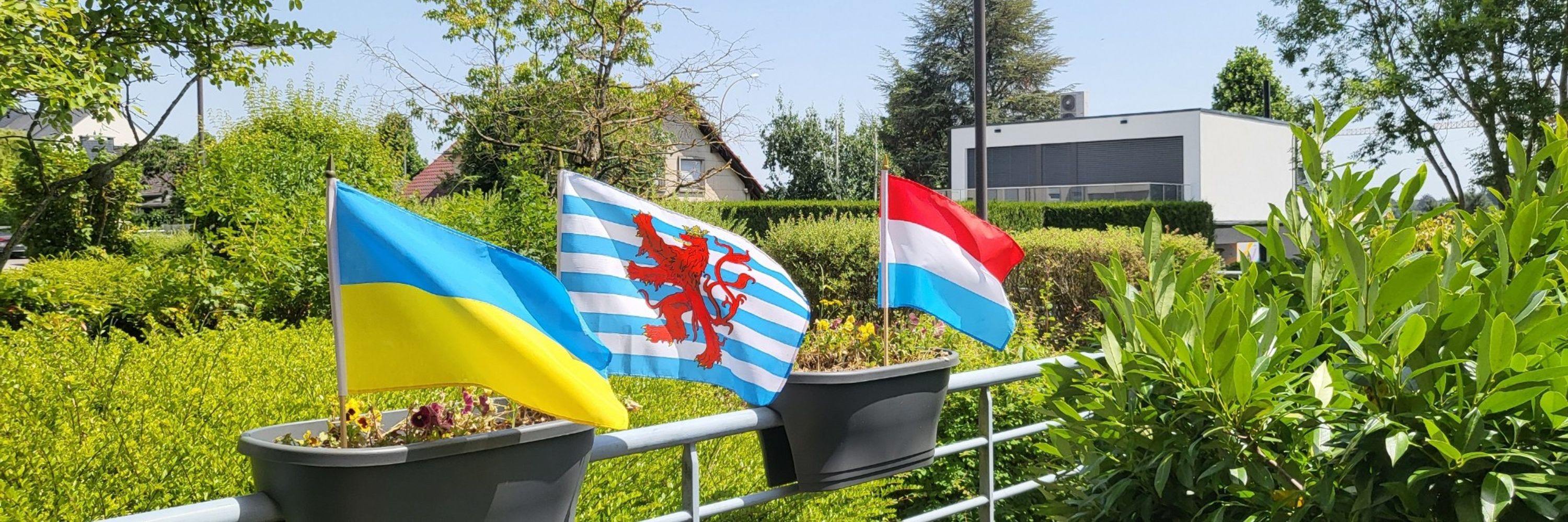 🇱🇺 John Martin 🇱🇺🇺🇦