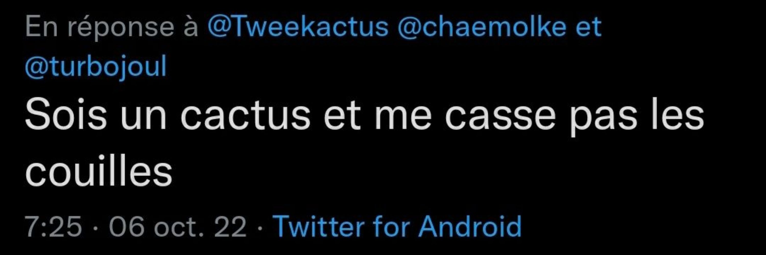 🌵 Tweekactus 🌵