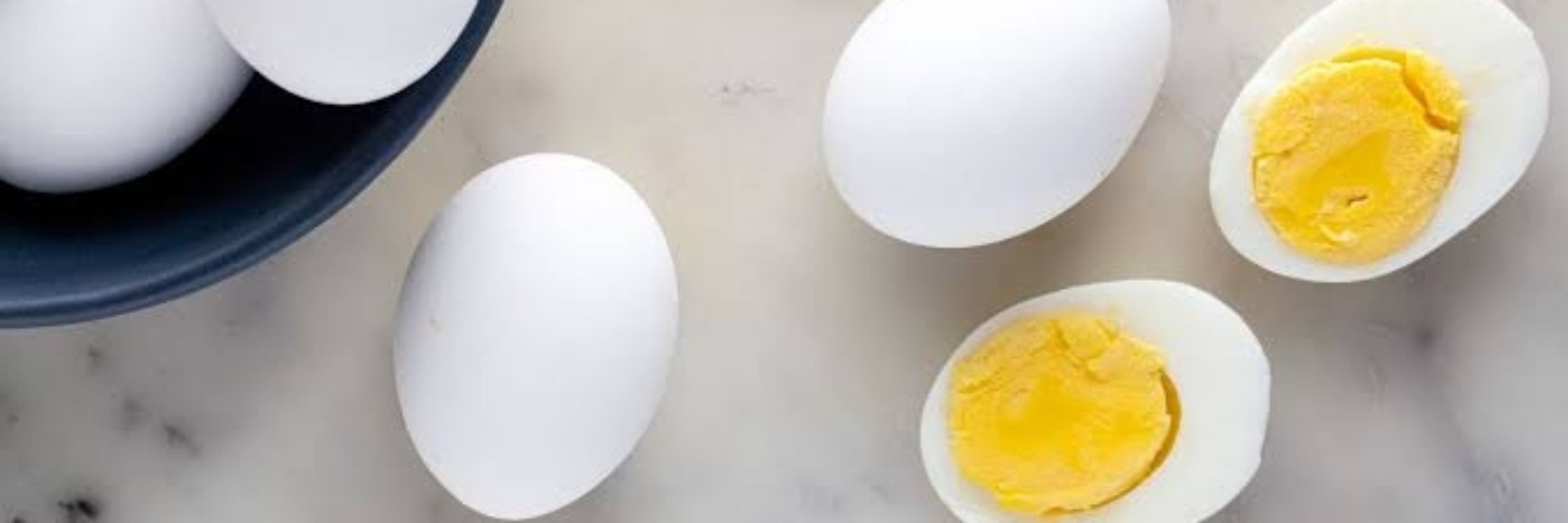 Egghead