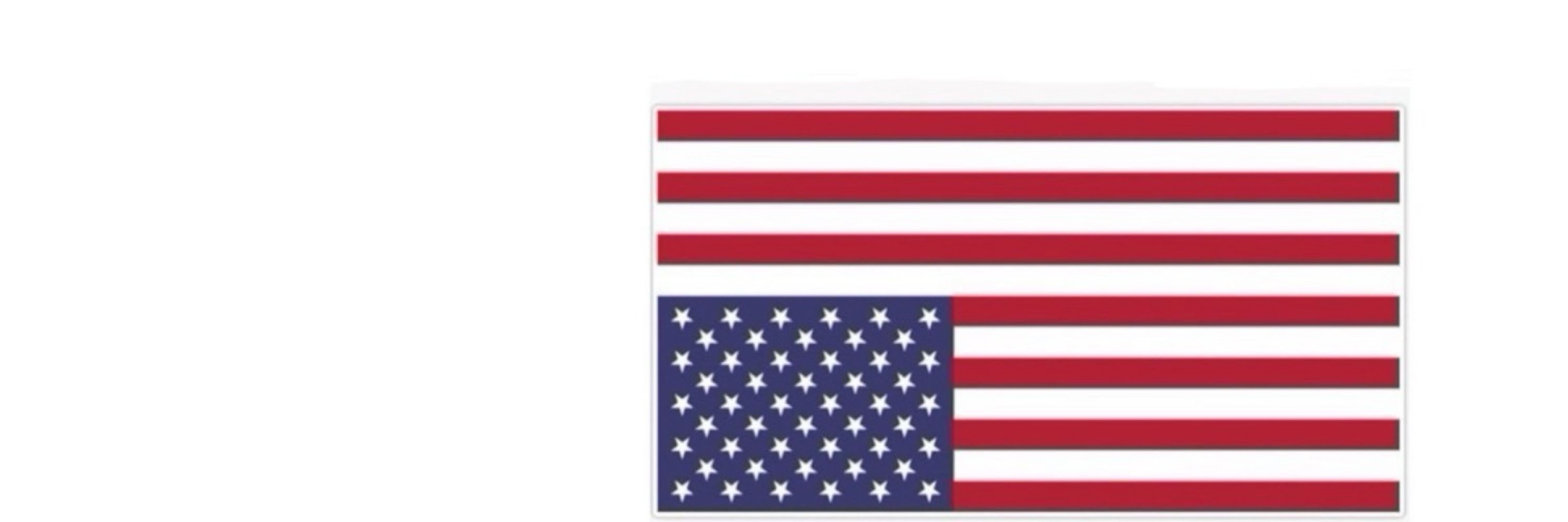 Ash 💙🇺🇸 FightToKeepOurDemocracy