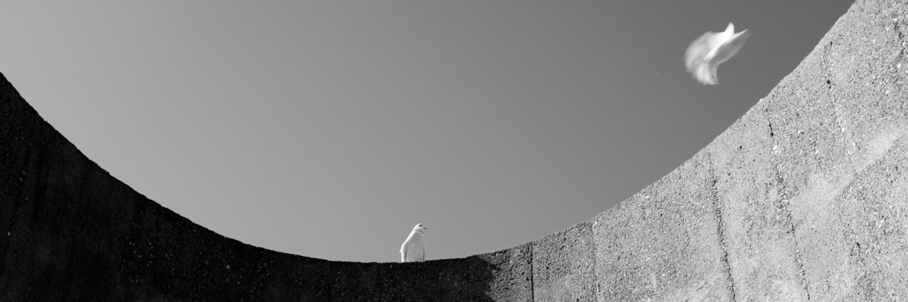 Dustin Weiss