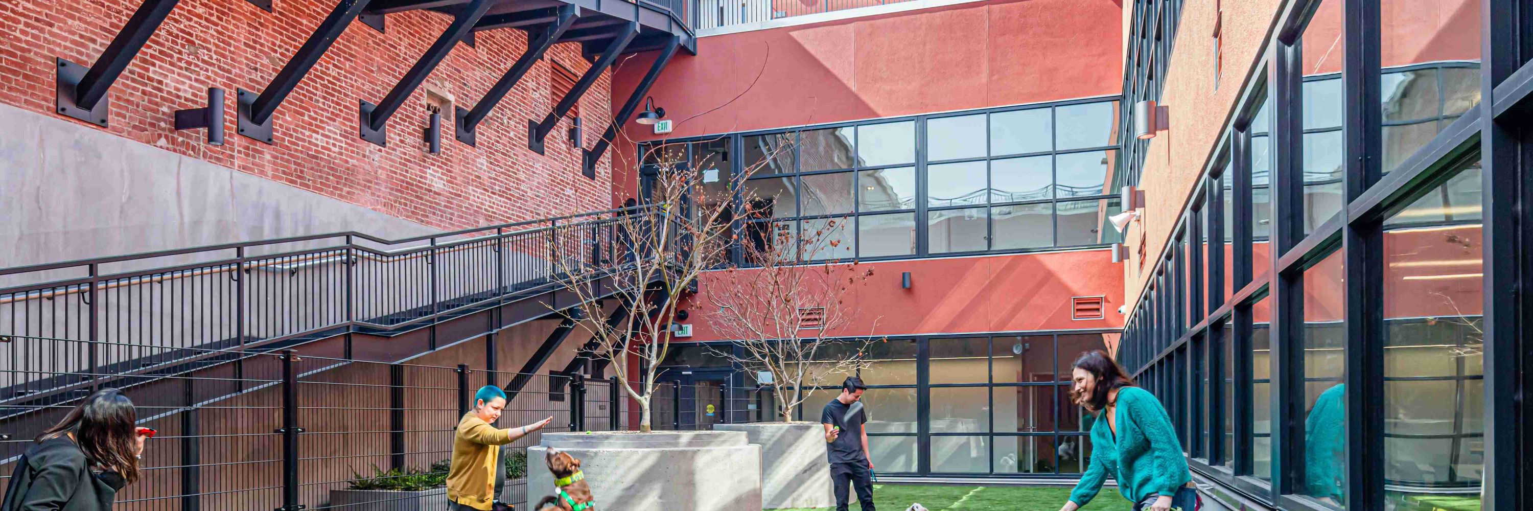San Francisco Animal Care & Control