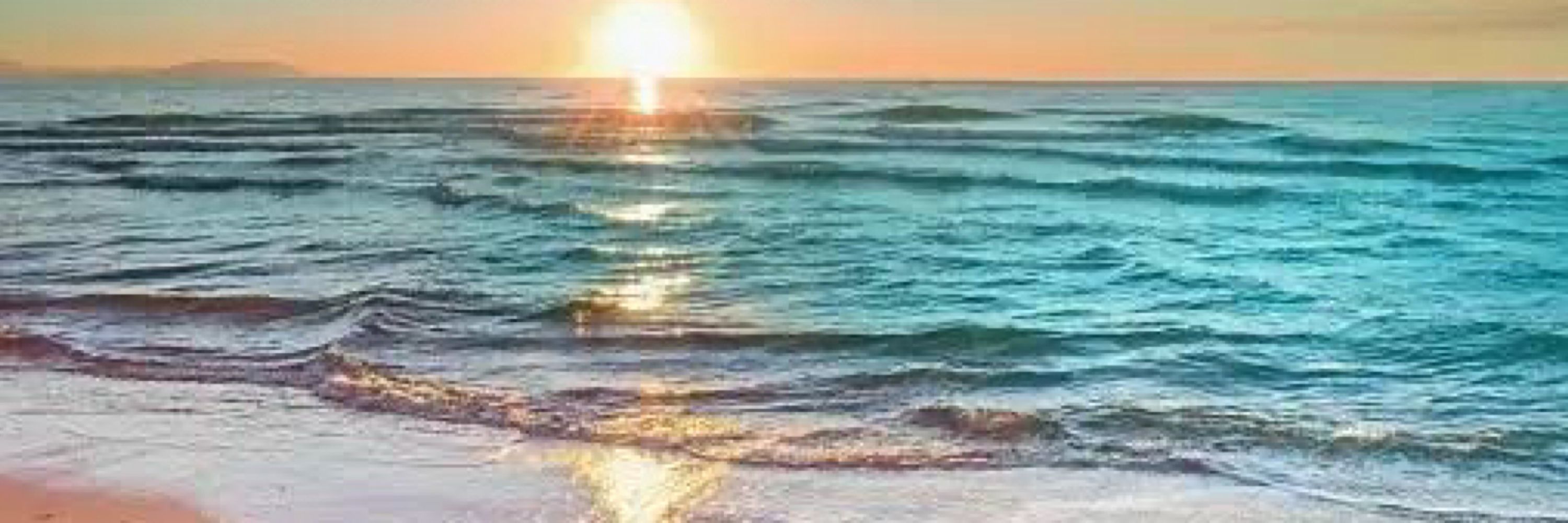 海蛇