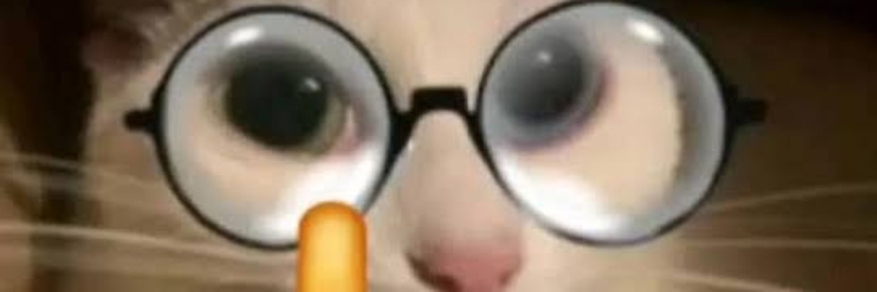 Linku
