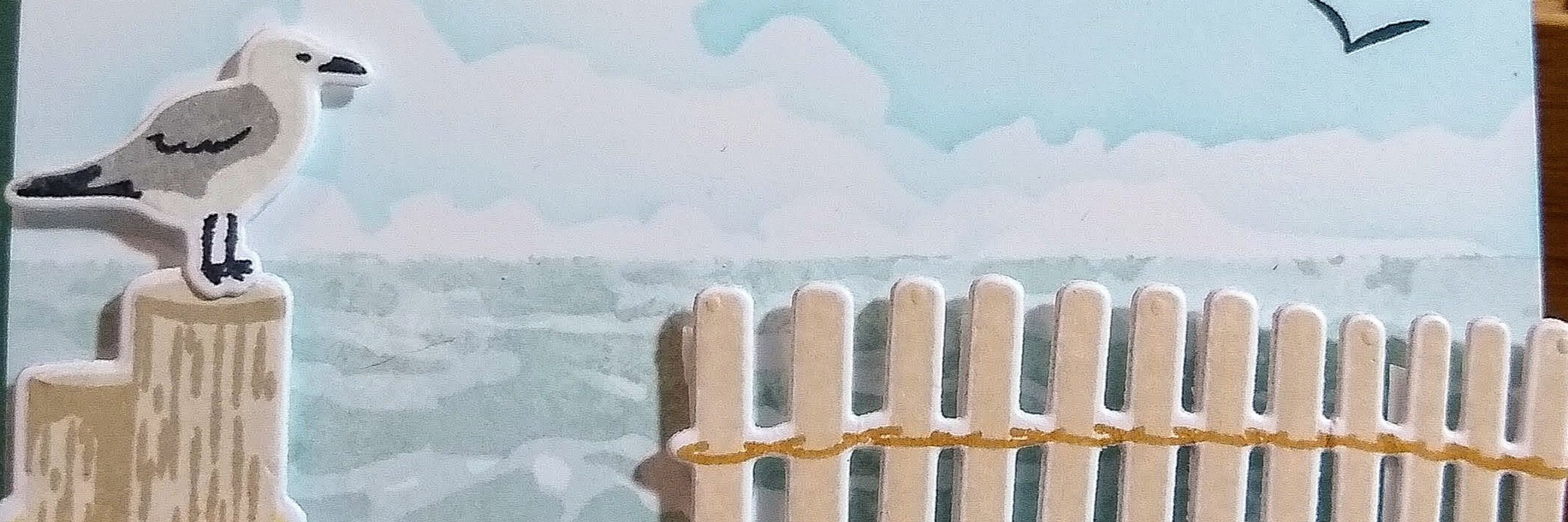 Sophie's Window