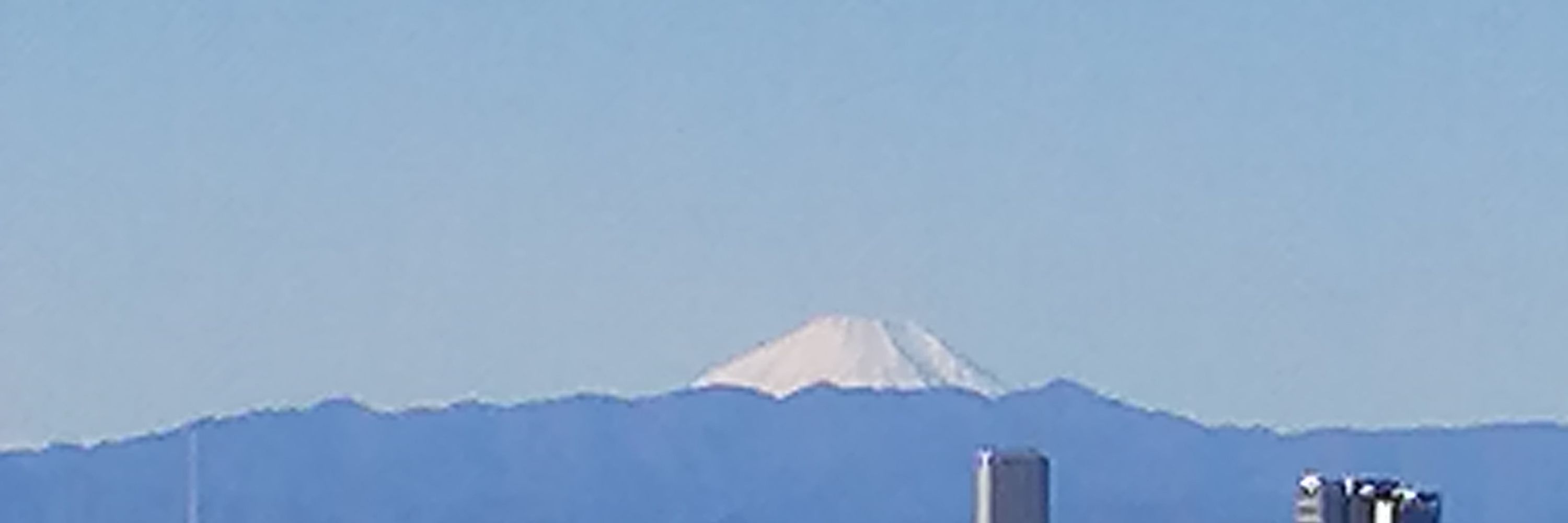 楓