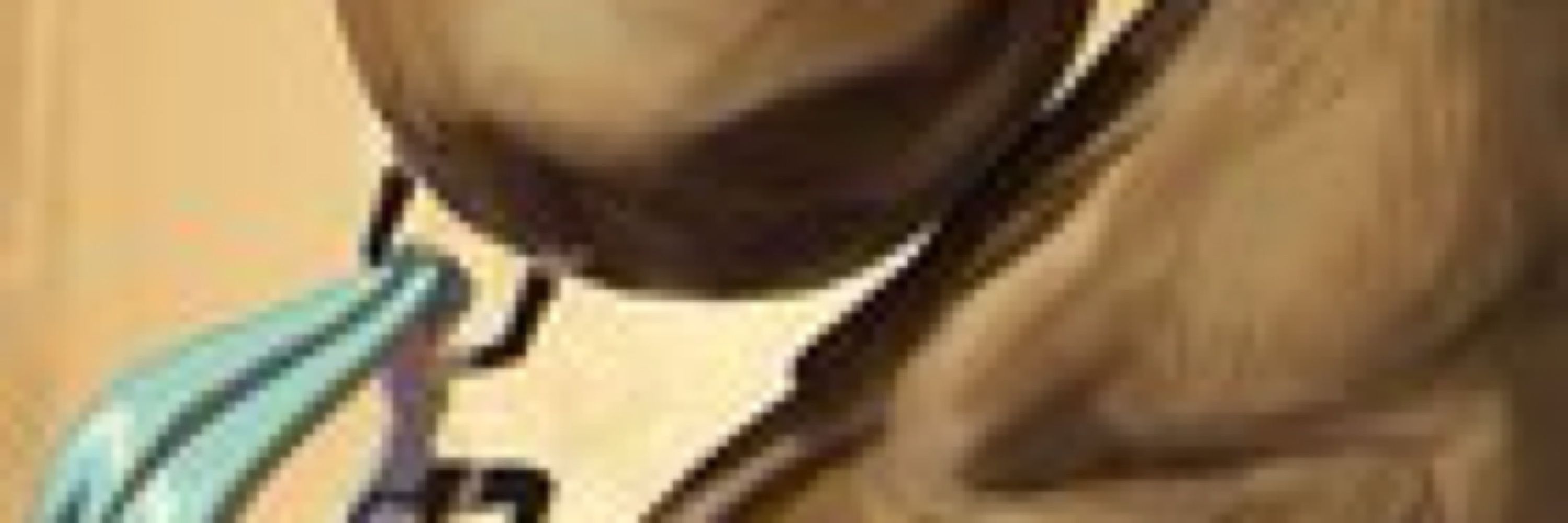 sanki