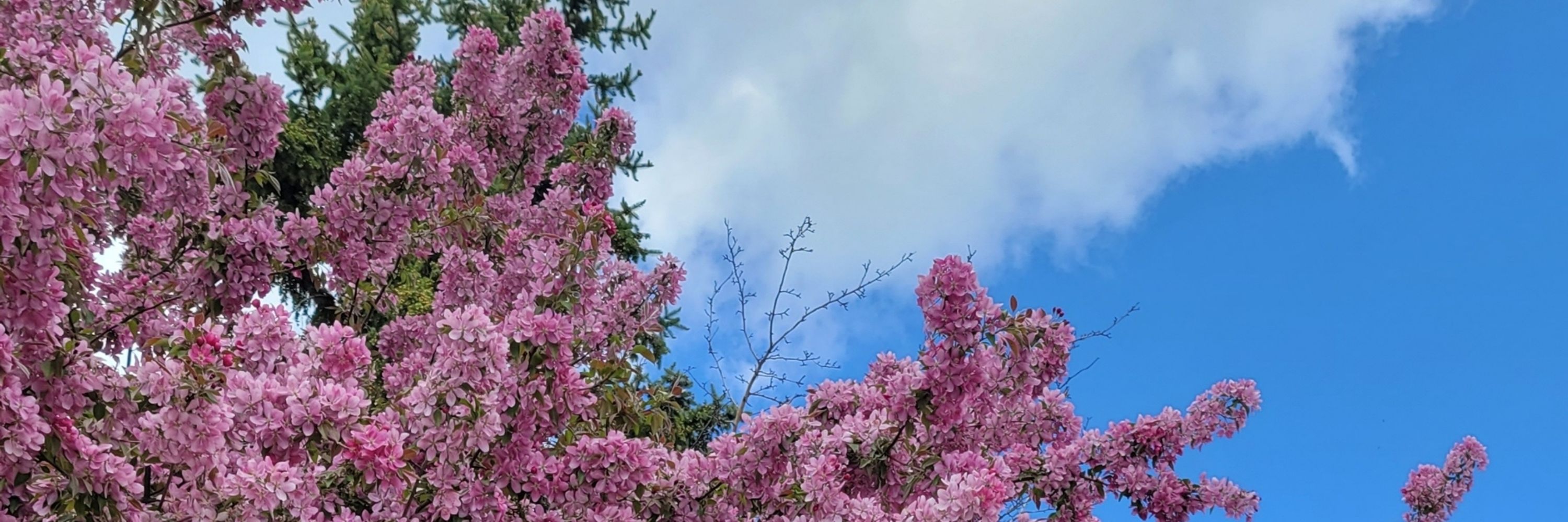 ♡EN