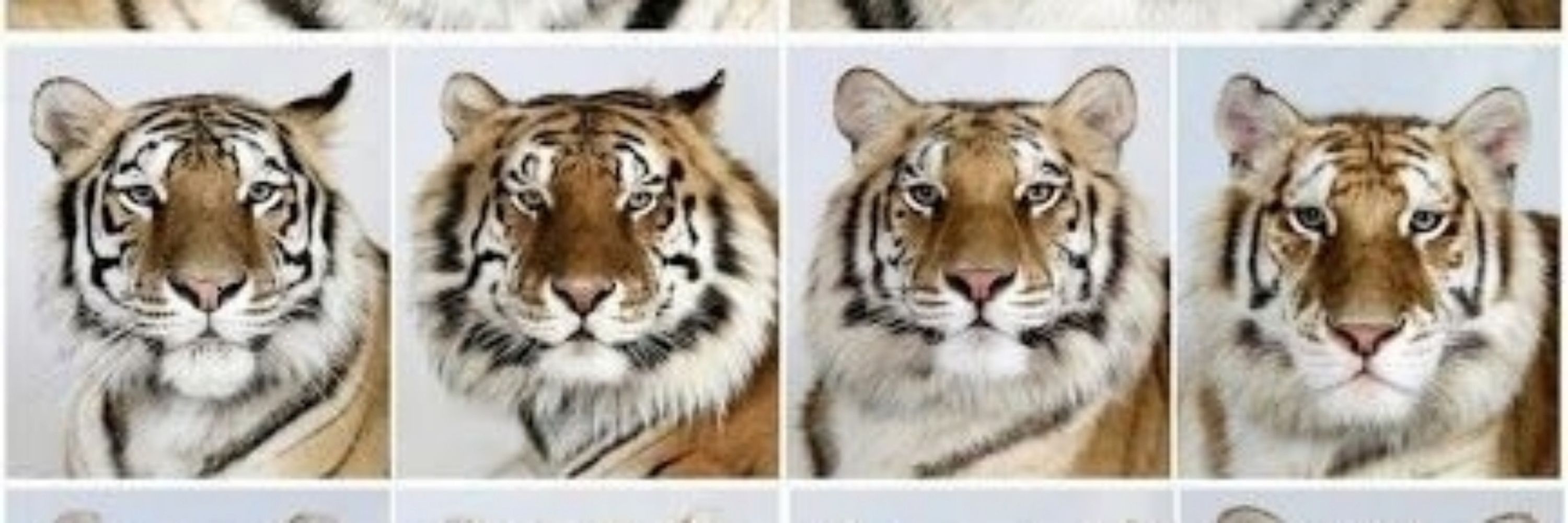 STRIPES!! They/he/him/she
