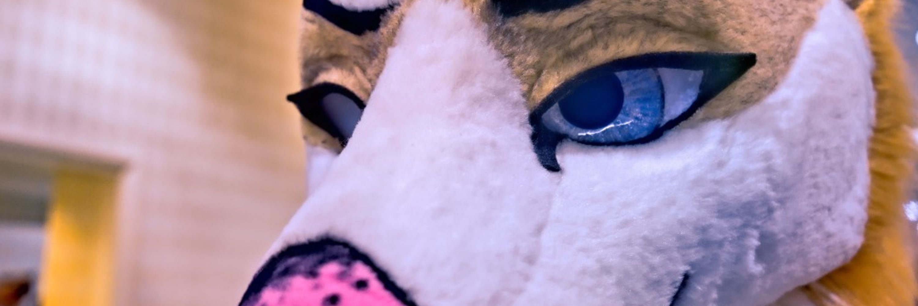 Tryna Husky
