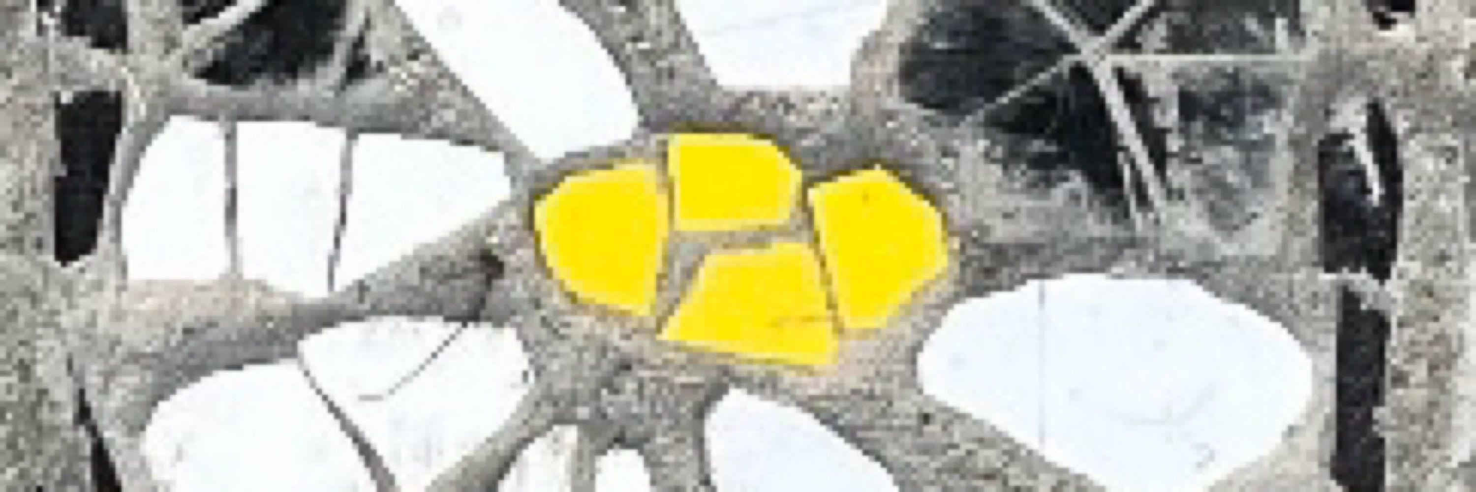 Mauroparalosamigos