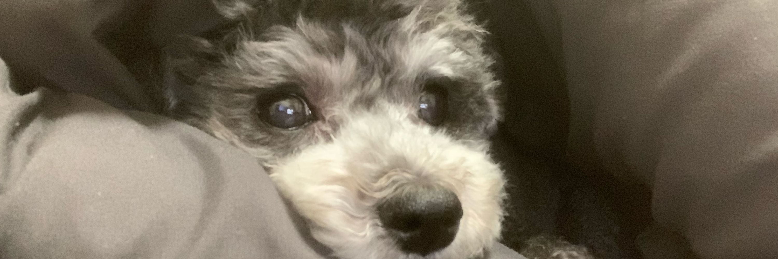 hiro