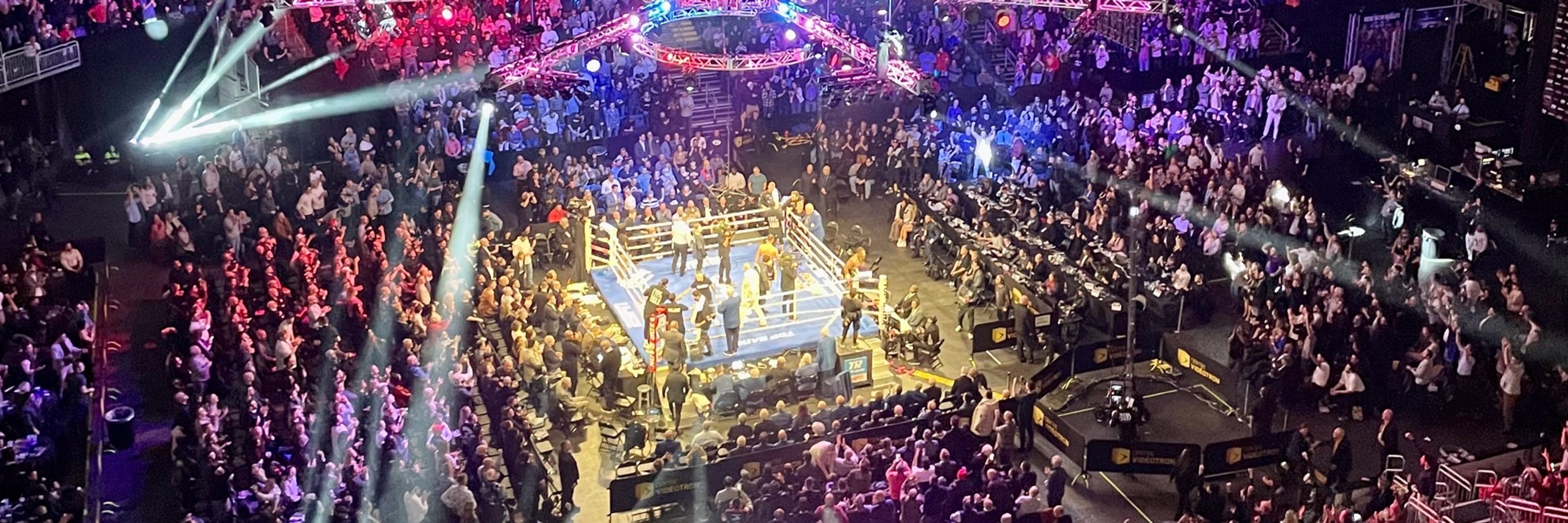 The💥 Boxing 🥊 Brain 🧠