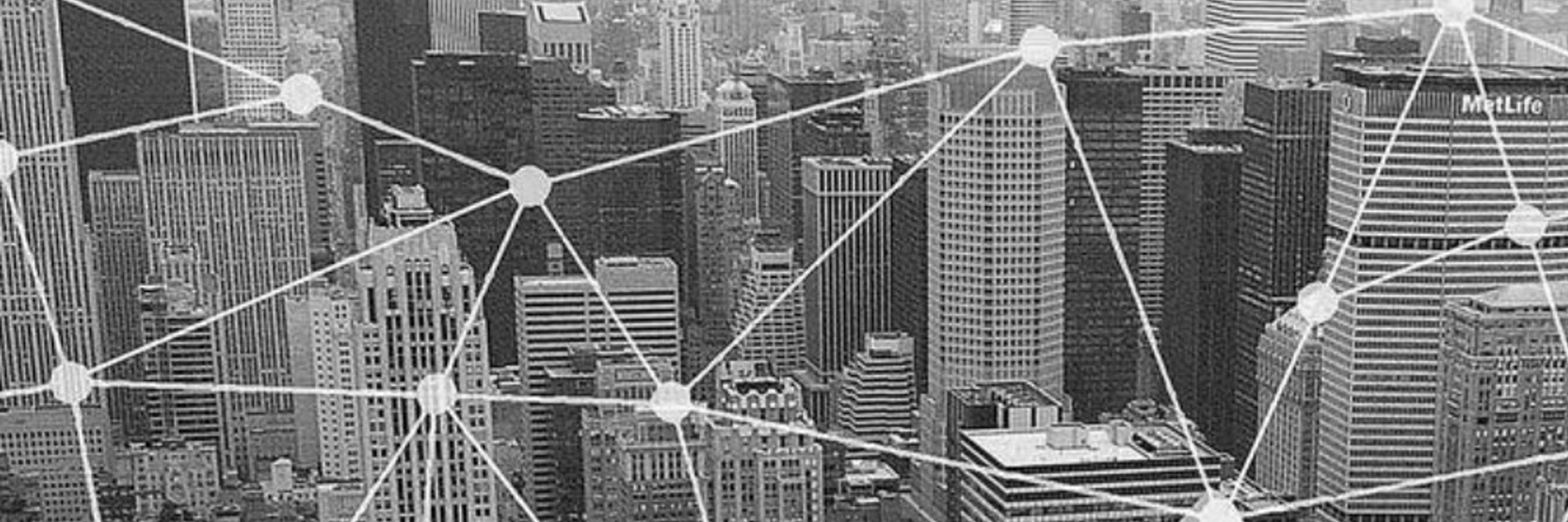 Quant Network