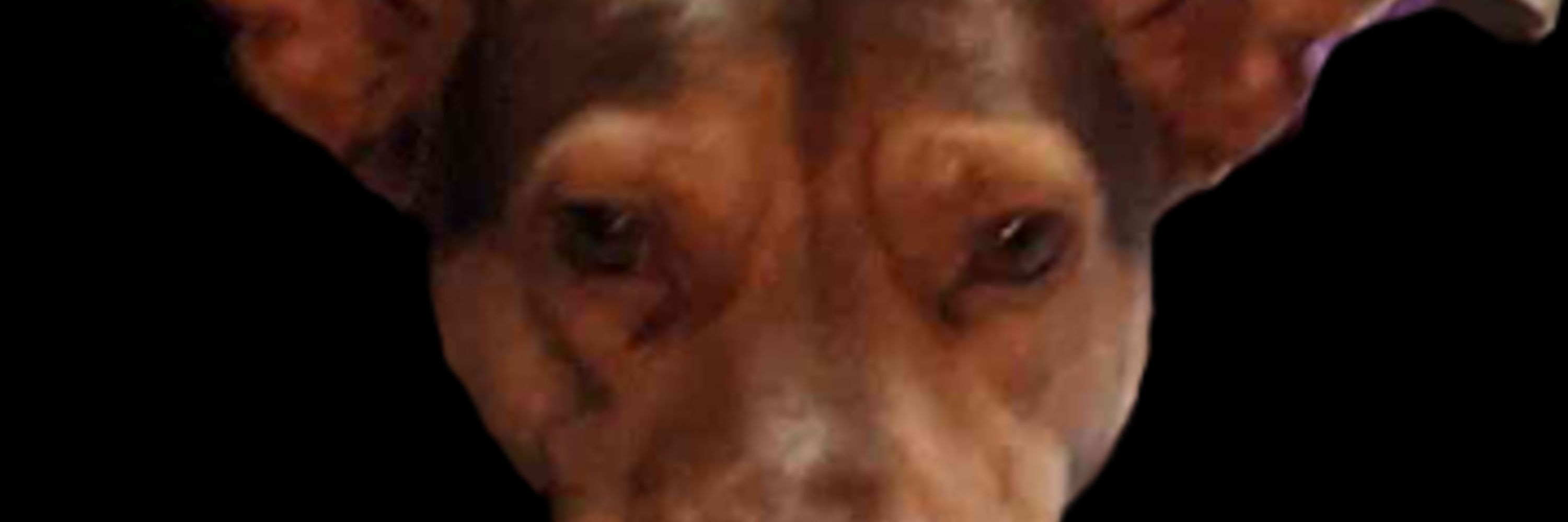 Fubini