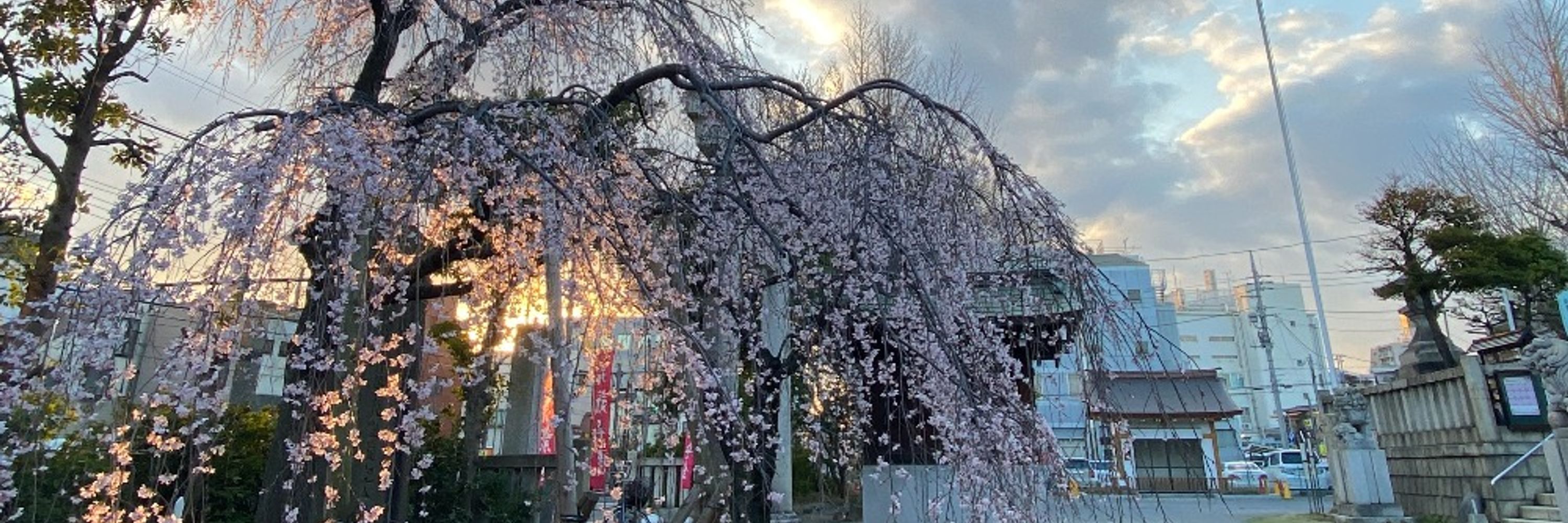 尾久八幡神社