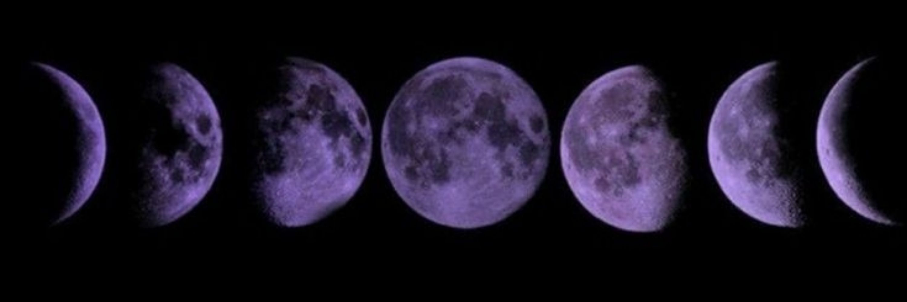 Vervain and Moon