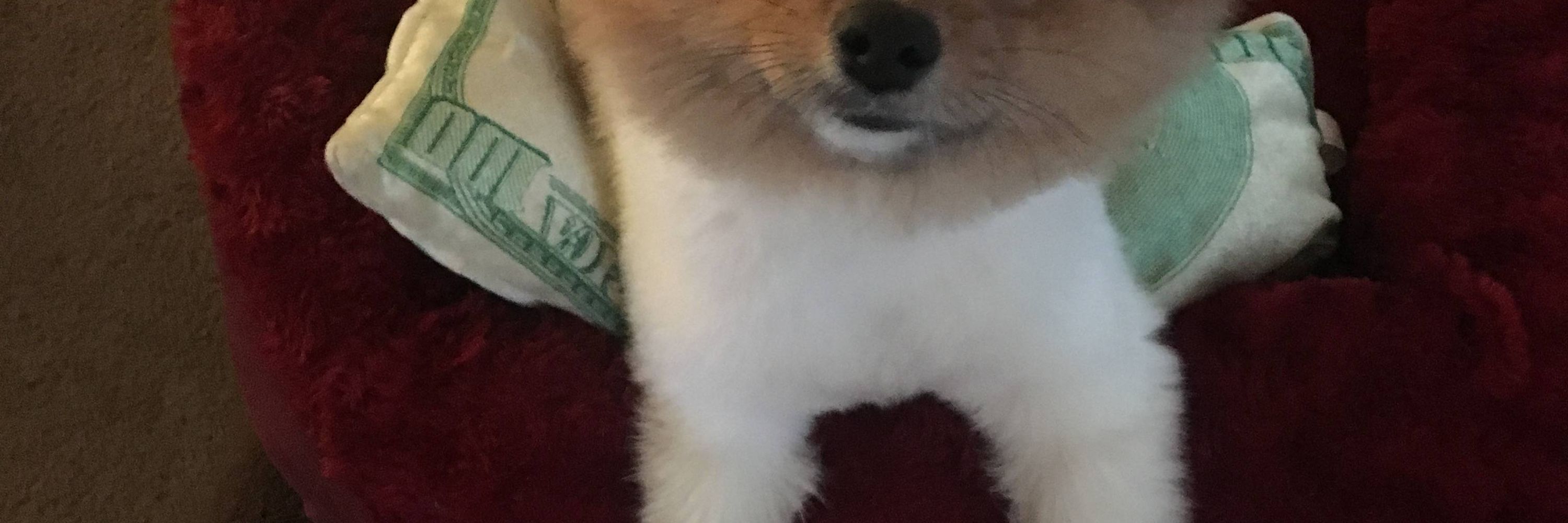 Brian