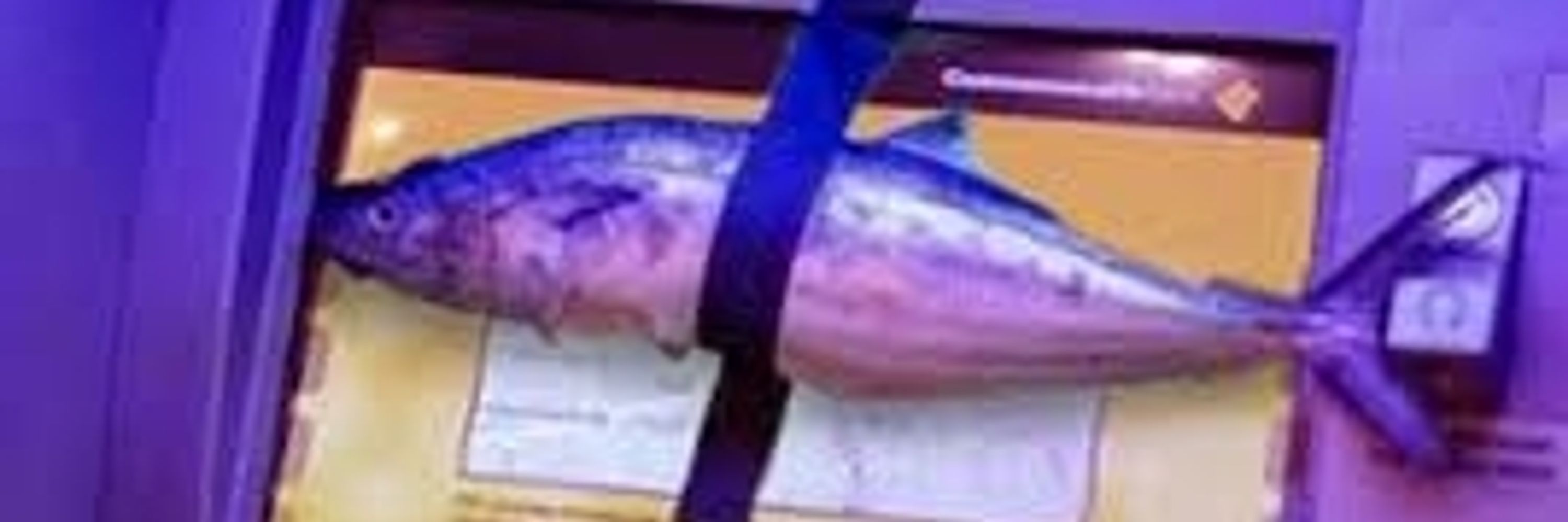 banner
