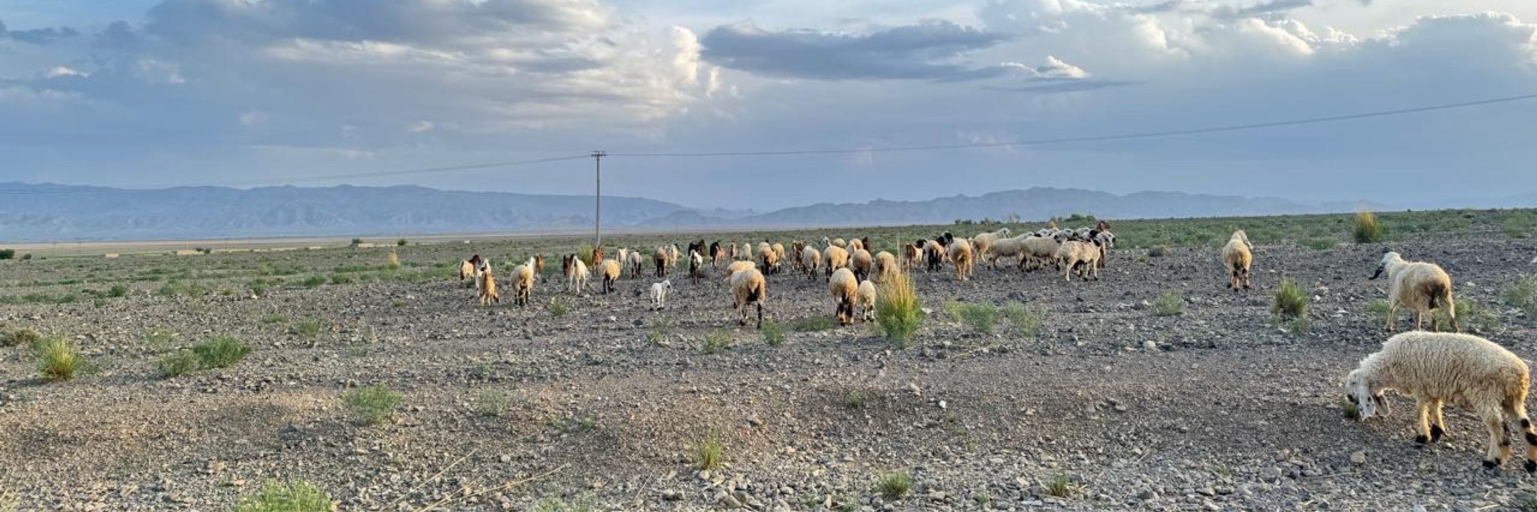 Sarang Baloch