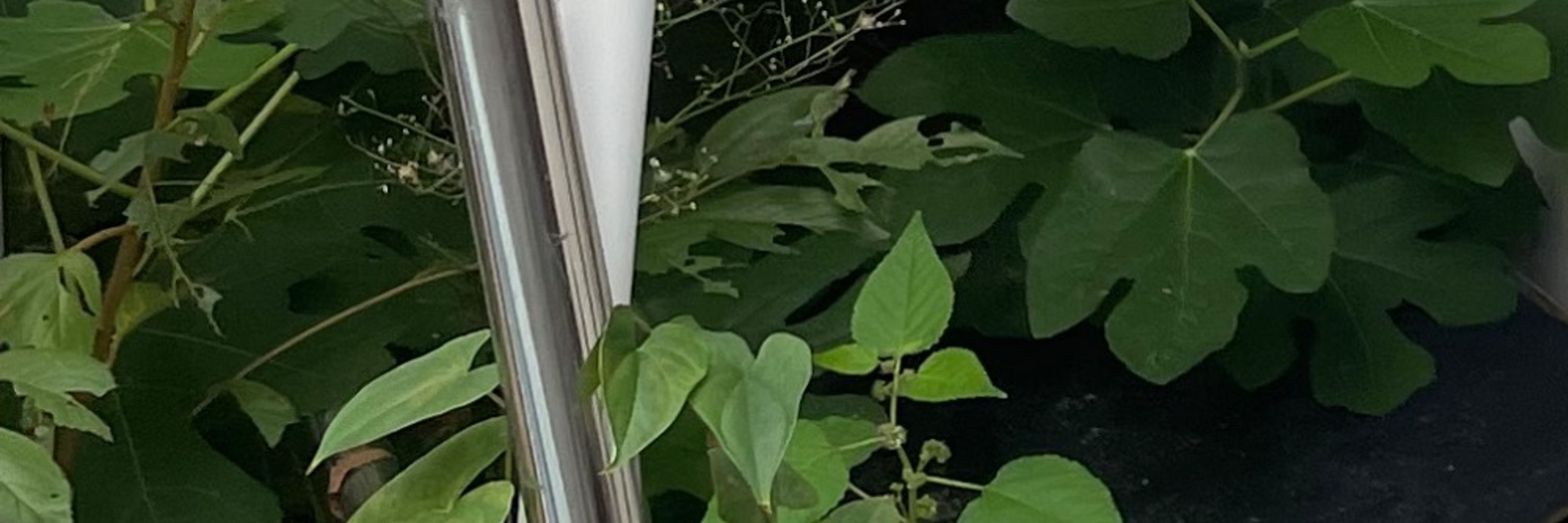물거품
